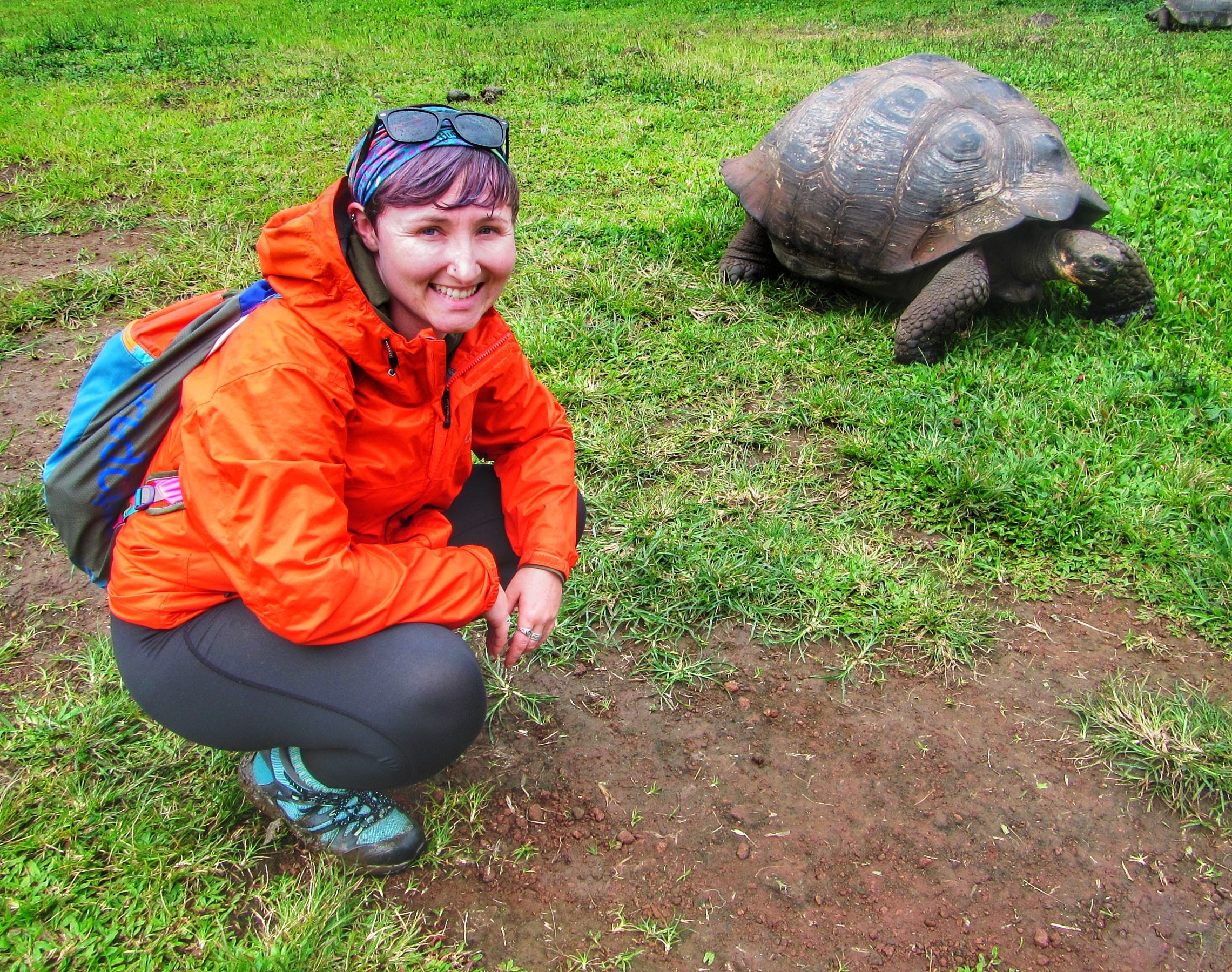  Hanging out with tortoises in the Galapagos Islands - September, 2017 