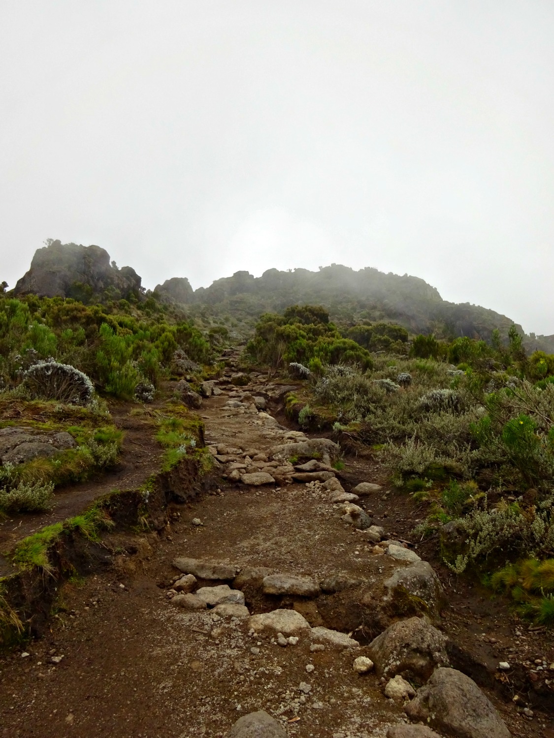 Kilimanjaro vs Everest Base Camp