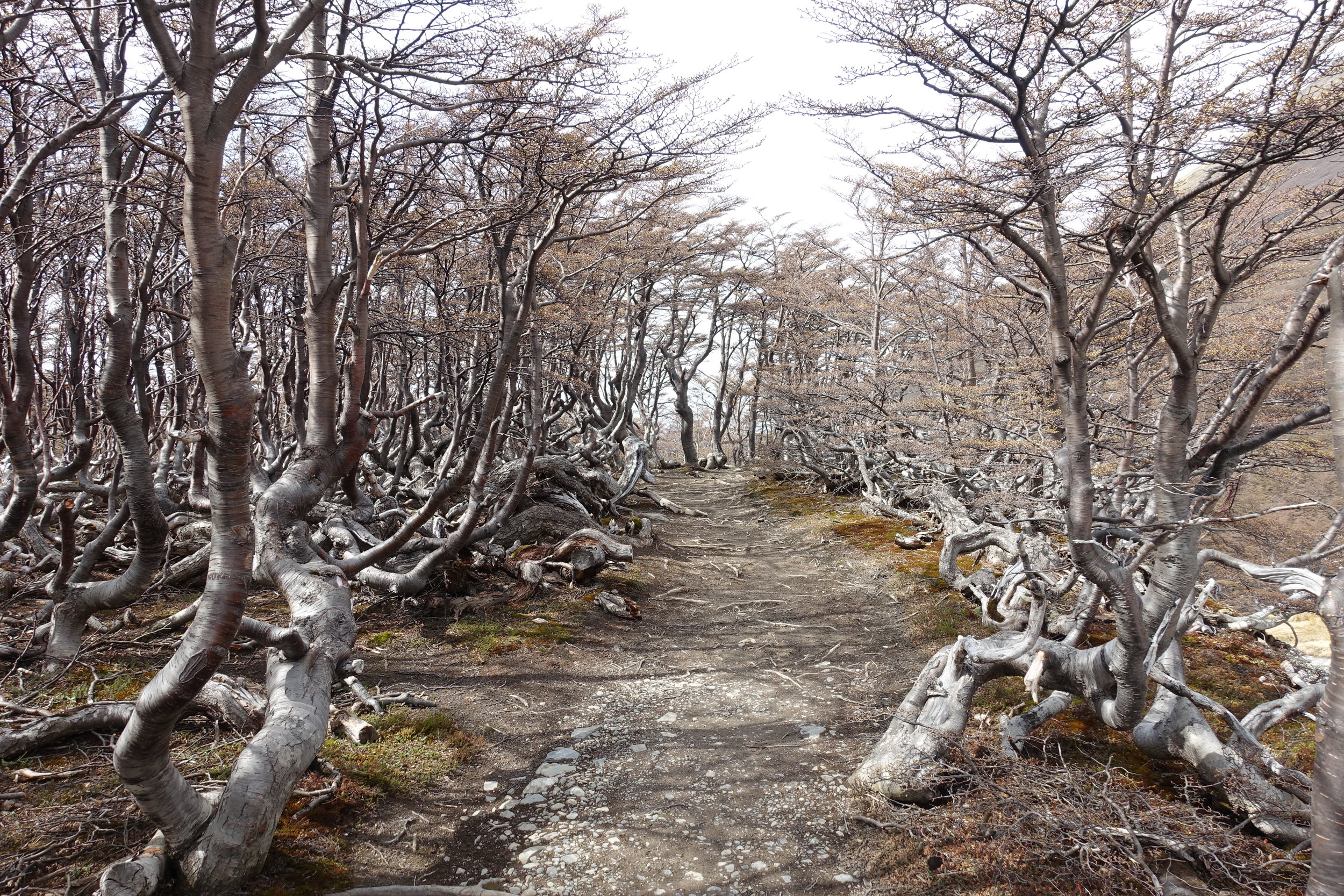 Martial Glacier: Things to do in Ushuaia Argentina