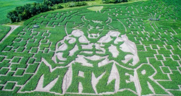  Things to do in Vermont - Great Vermont Corn Maze 