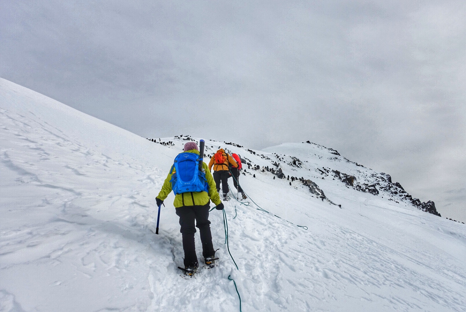  Things to know before going to Antarctica - Mountaineering 
