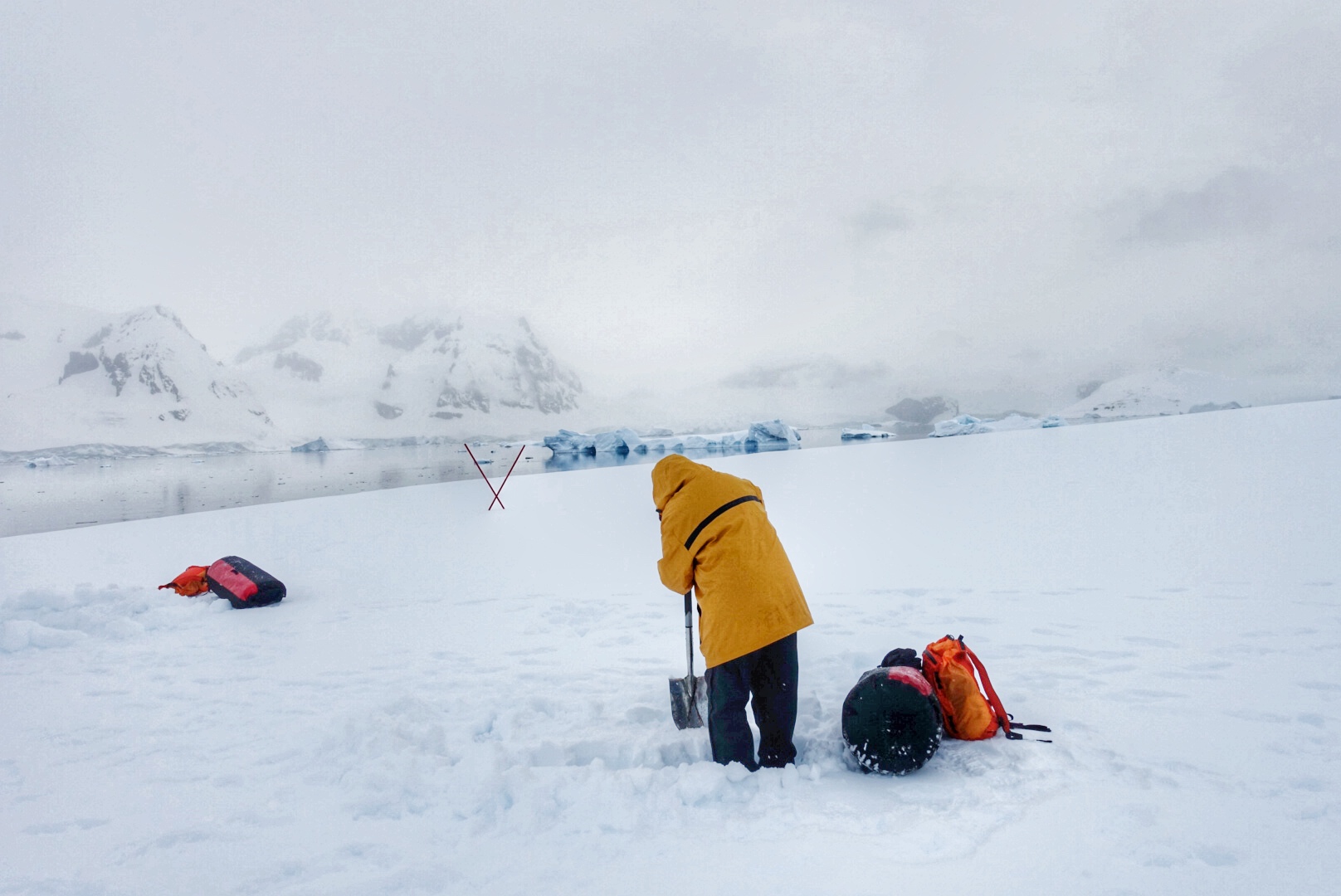  Camping in Antarctica: A person in a yellow jacket using a shove to dig a hole in the snow in Antarctica.