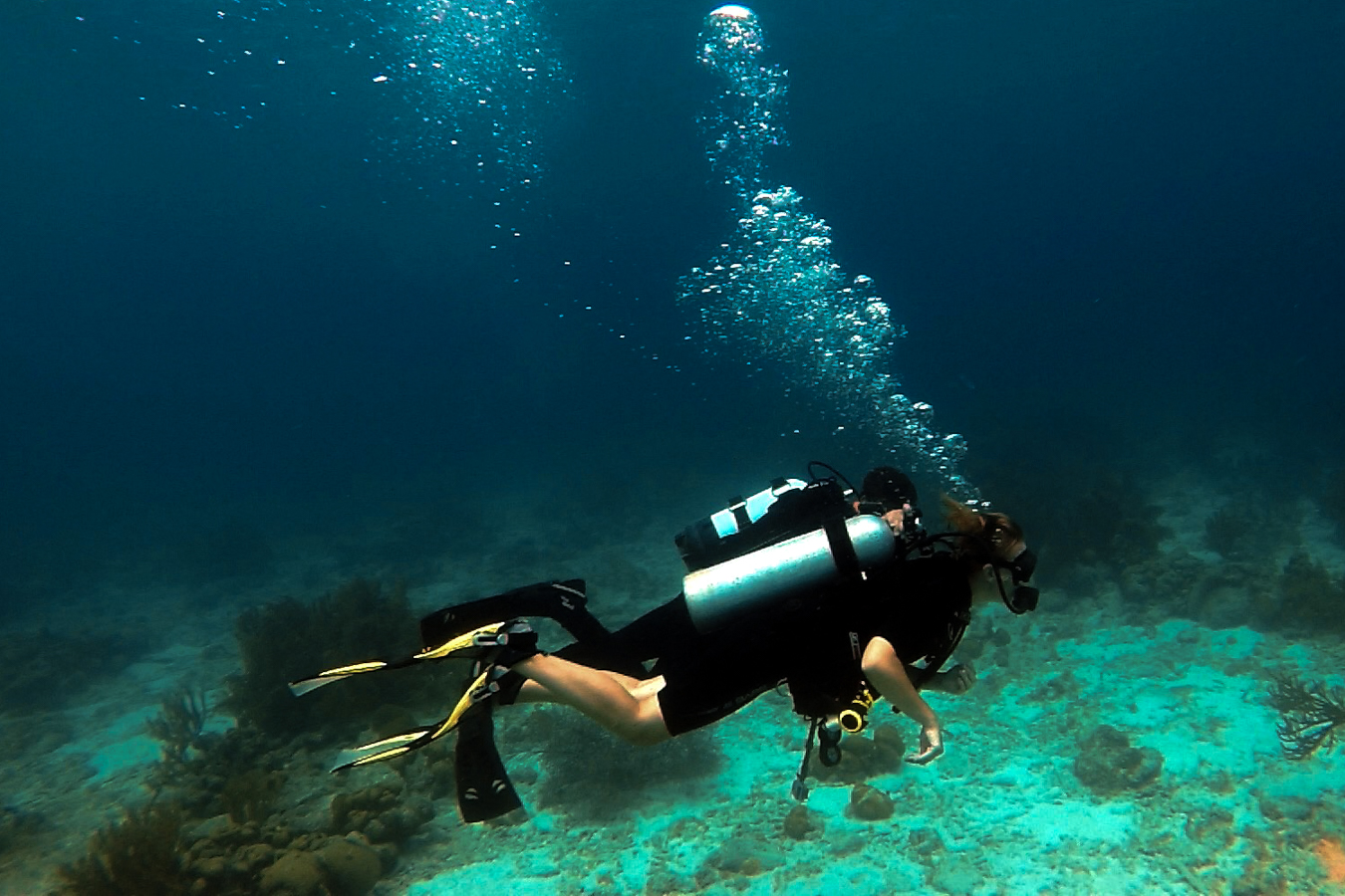 scuba diving