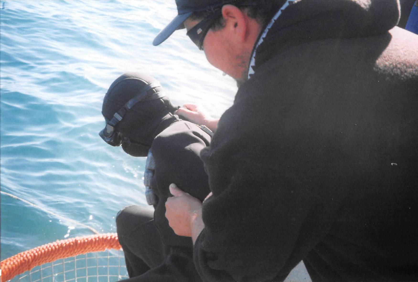 Diving with Great White Sharks in South Africa
