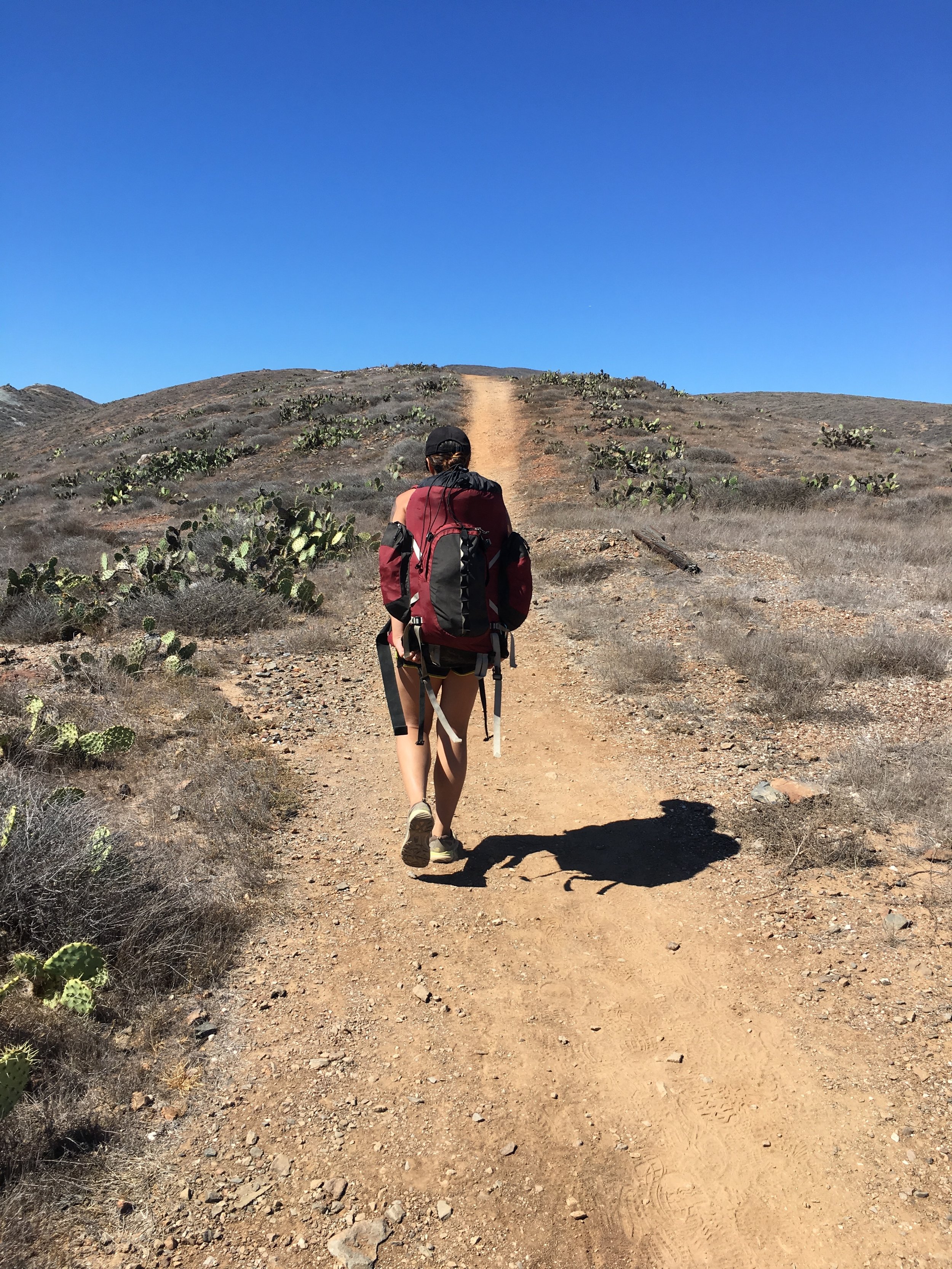  Hiking the Trans Catalina Trail 