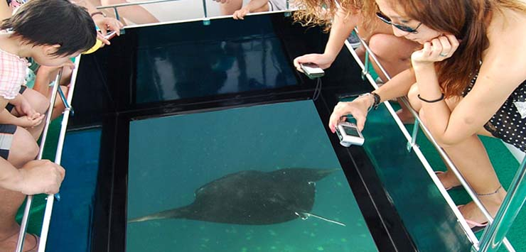  Glass Bottom Boat Tours in Cozumel photo courtesy of bestbuytourscozumel.com 