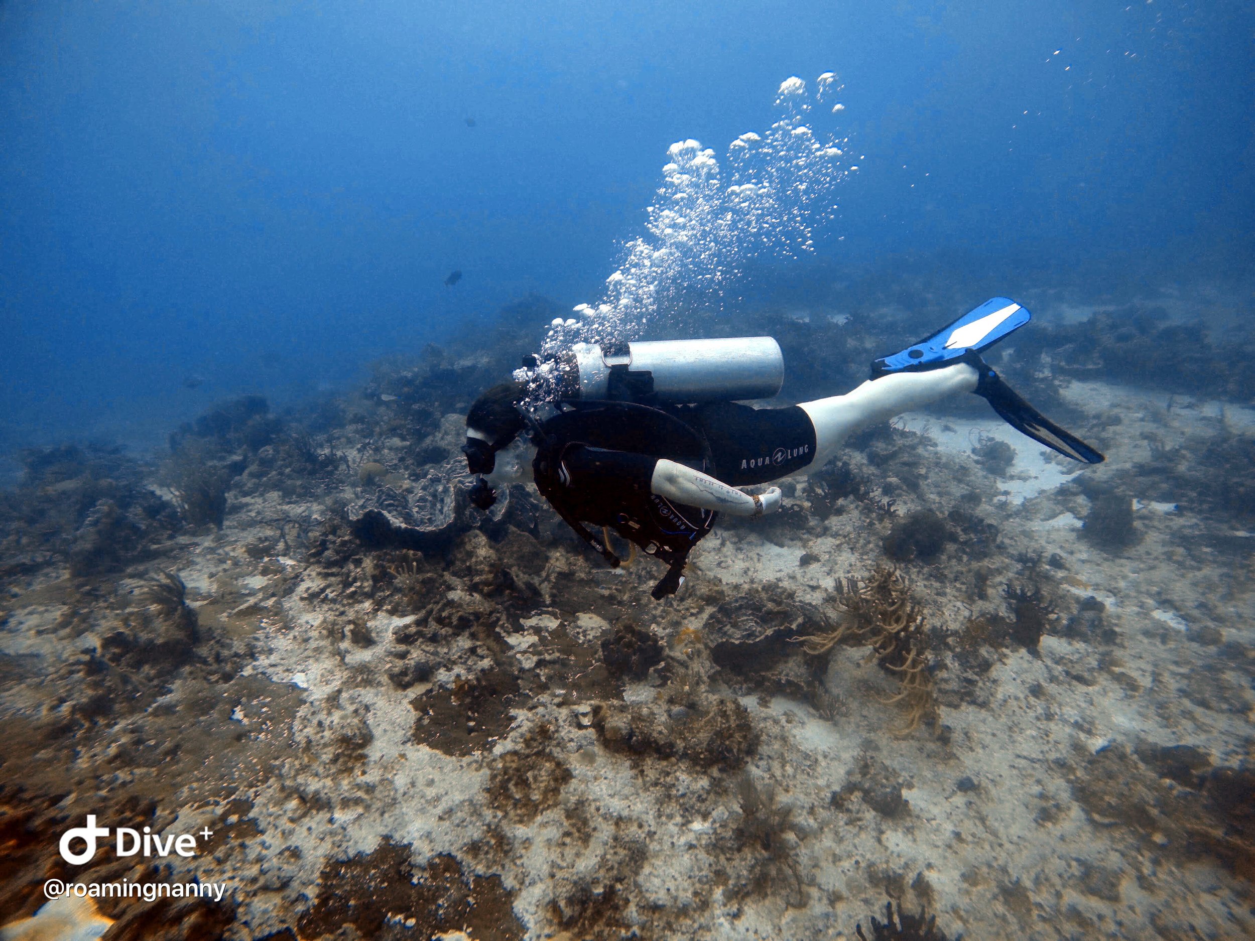  Women Scuba Diving PADI 