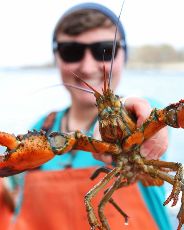 One of the highlights of my weekend in Maine was going on a tour with @luckycatchcruises.
*
The tour taught me about lobster fishing and a bit of history of the Portland harbor area. On top of that, I hauled up the trap this lobster was in. Plus I looked liked amazing in my bright orange waterproof overalls.
*
📸: @detailedjourneys
-
-
-
-
-
#sponsored #lobster #lobsterfishing #maine #visitportlandme #portland #portlandmaine #visitmaine #portlandharbor #lobstering #lobsteringinmaine #travelmore #exploremore