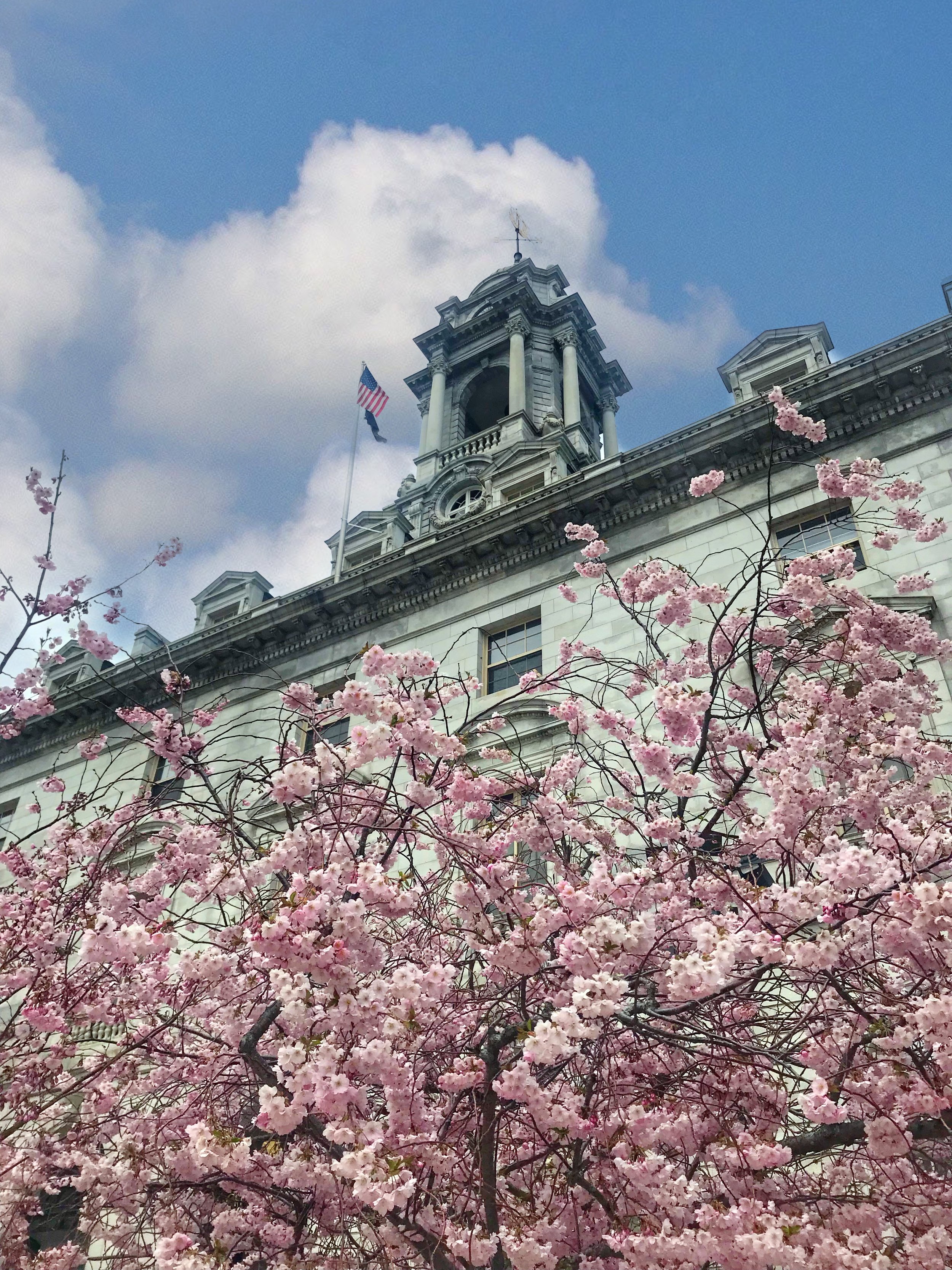  Visit Portland Maine City Hall 
