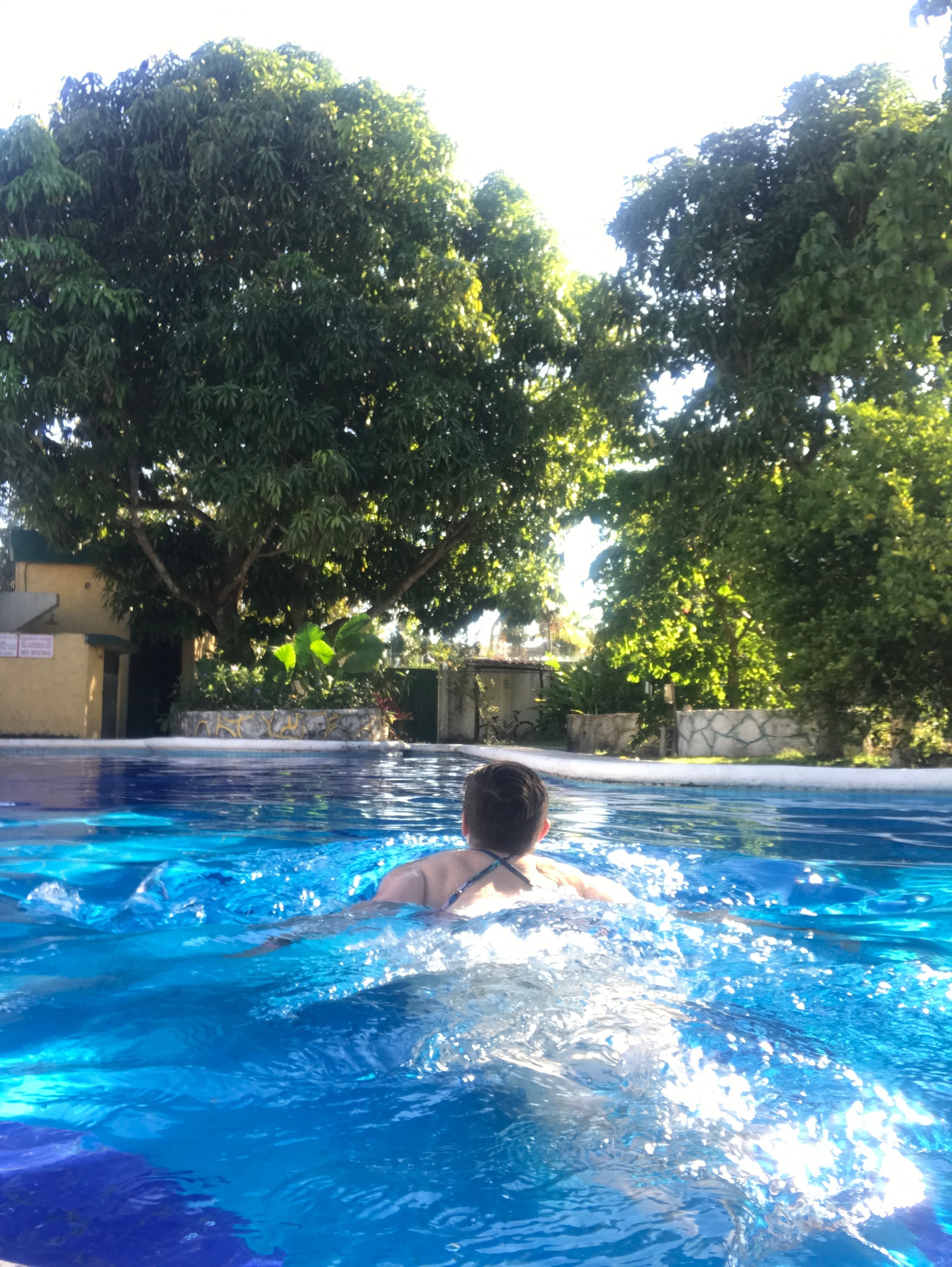  Amigos Hostel Cozumel Pool 