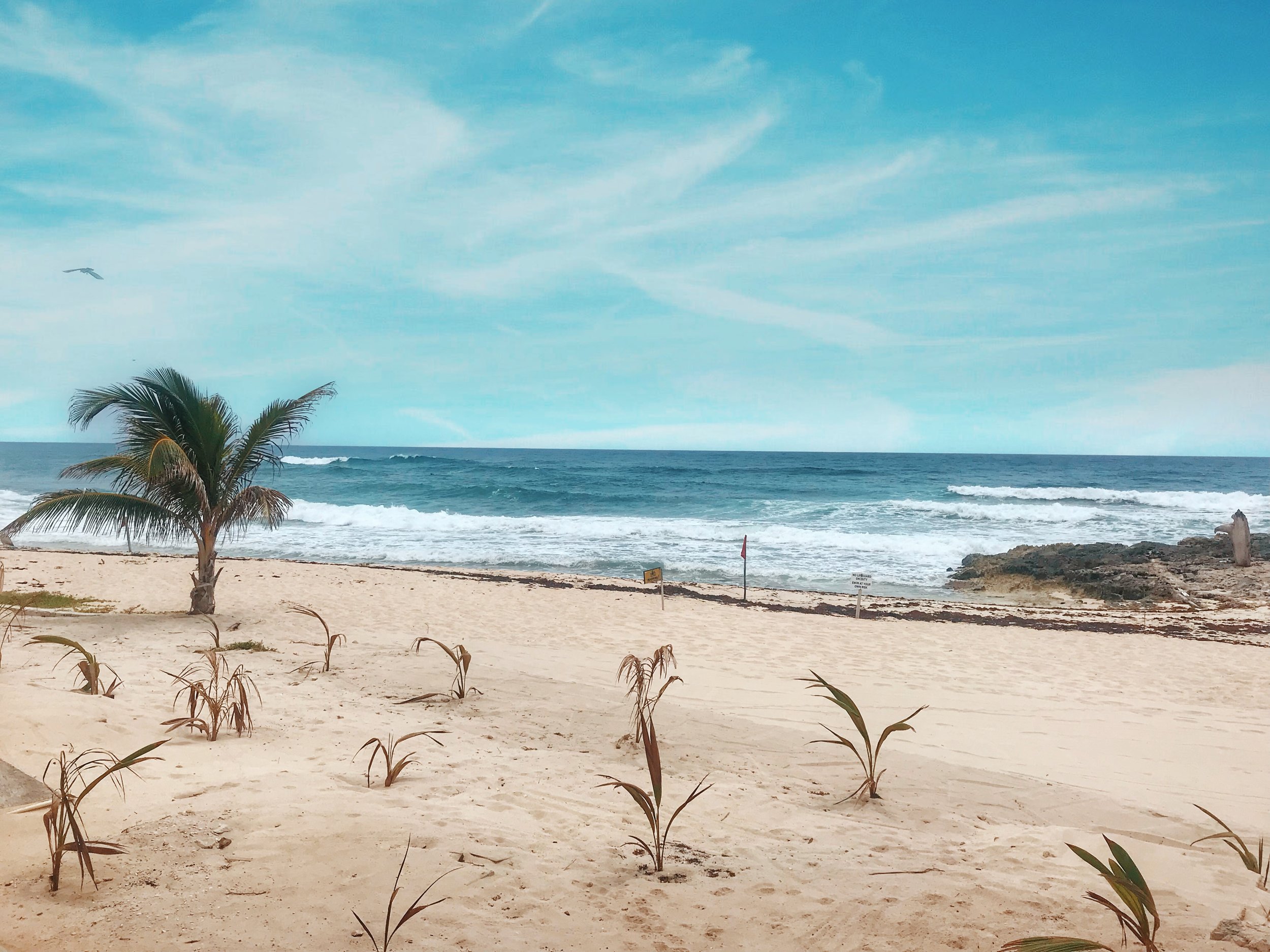  East Coast of Cozumel Mexico 