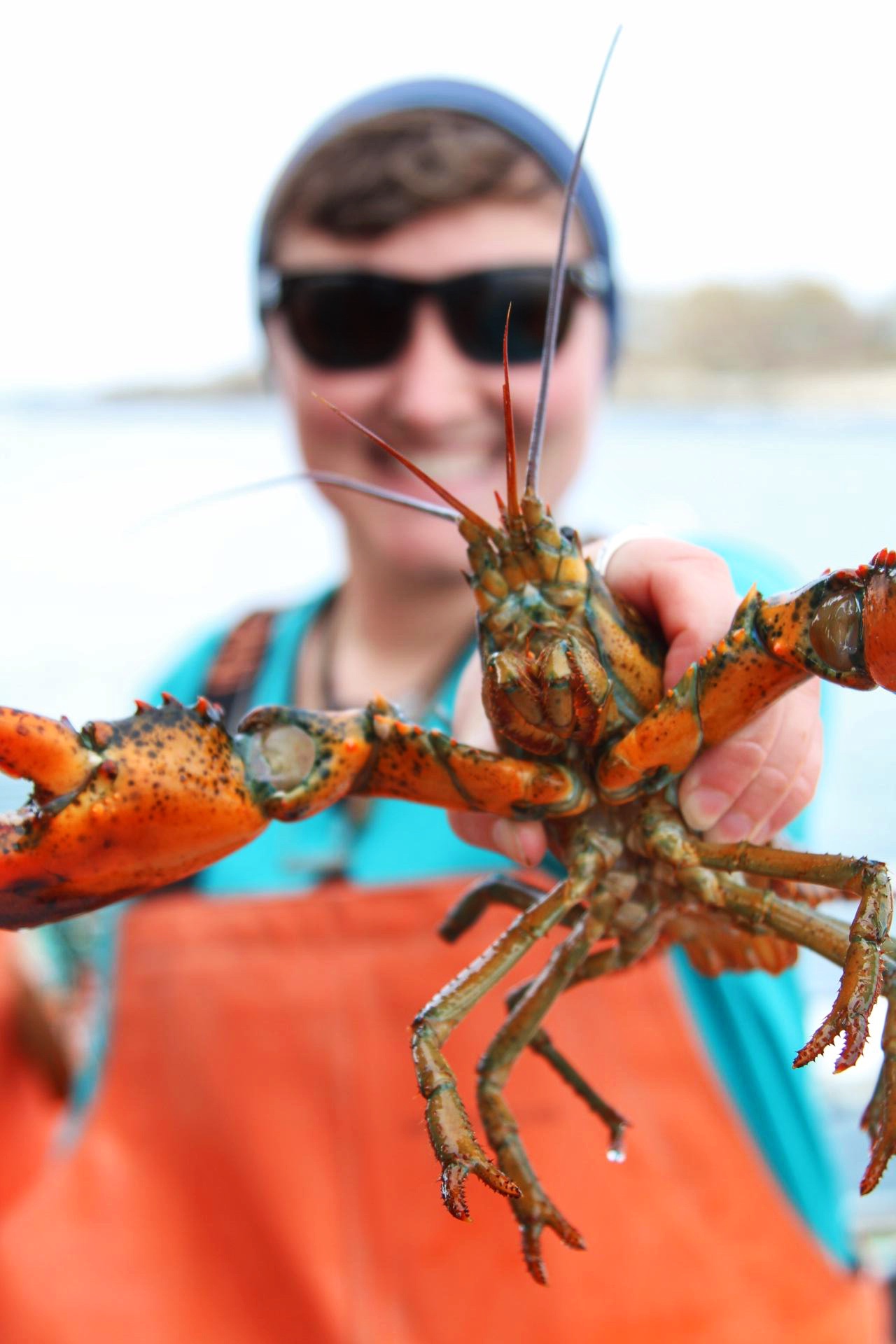  Lucky Catch Cruises Lobster 