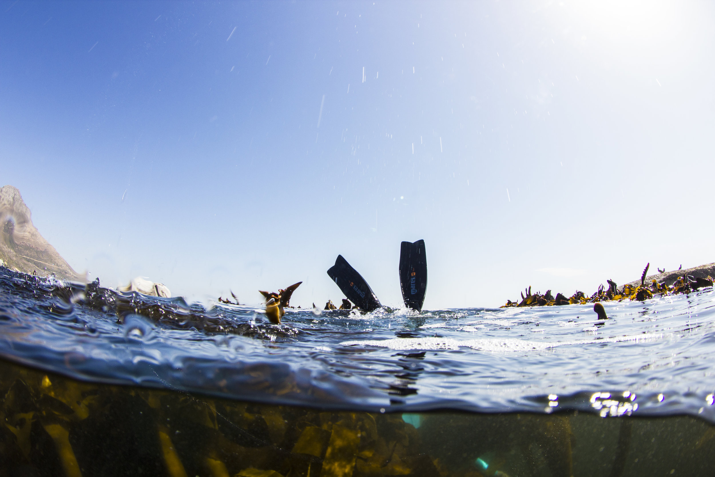 free diving in false bay