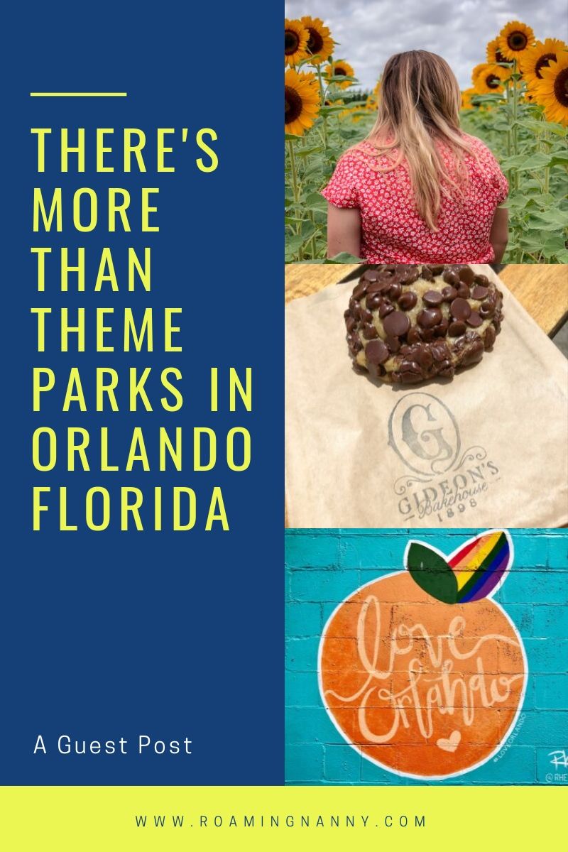 Orlando Florida is known for theme parks, but there’s more to do there if you take a closer look. #orlando #visitorlando #florida #orlandoflorida #visitflorida 