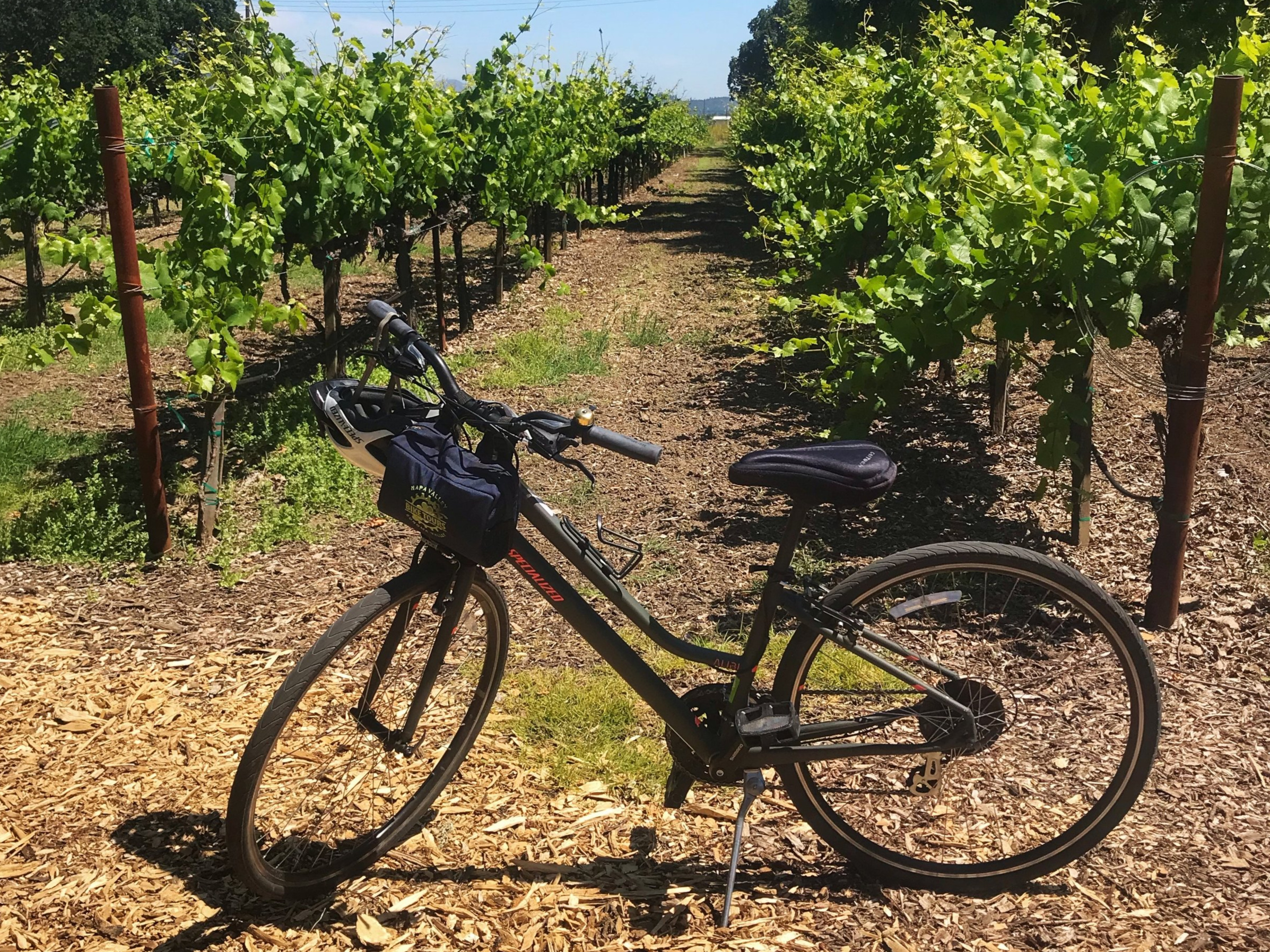 bike in napa