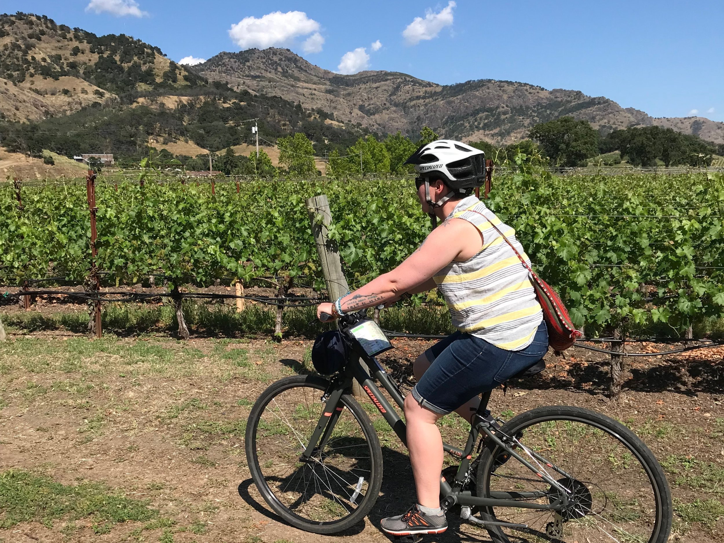  napa bike rental 