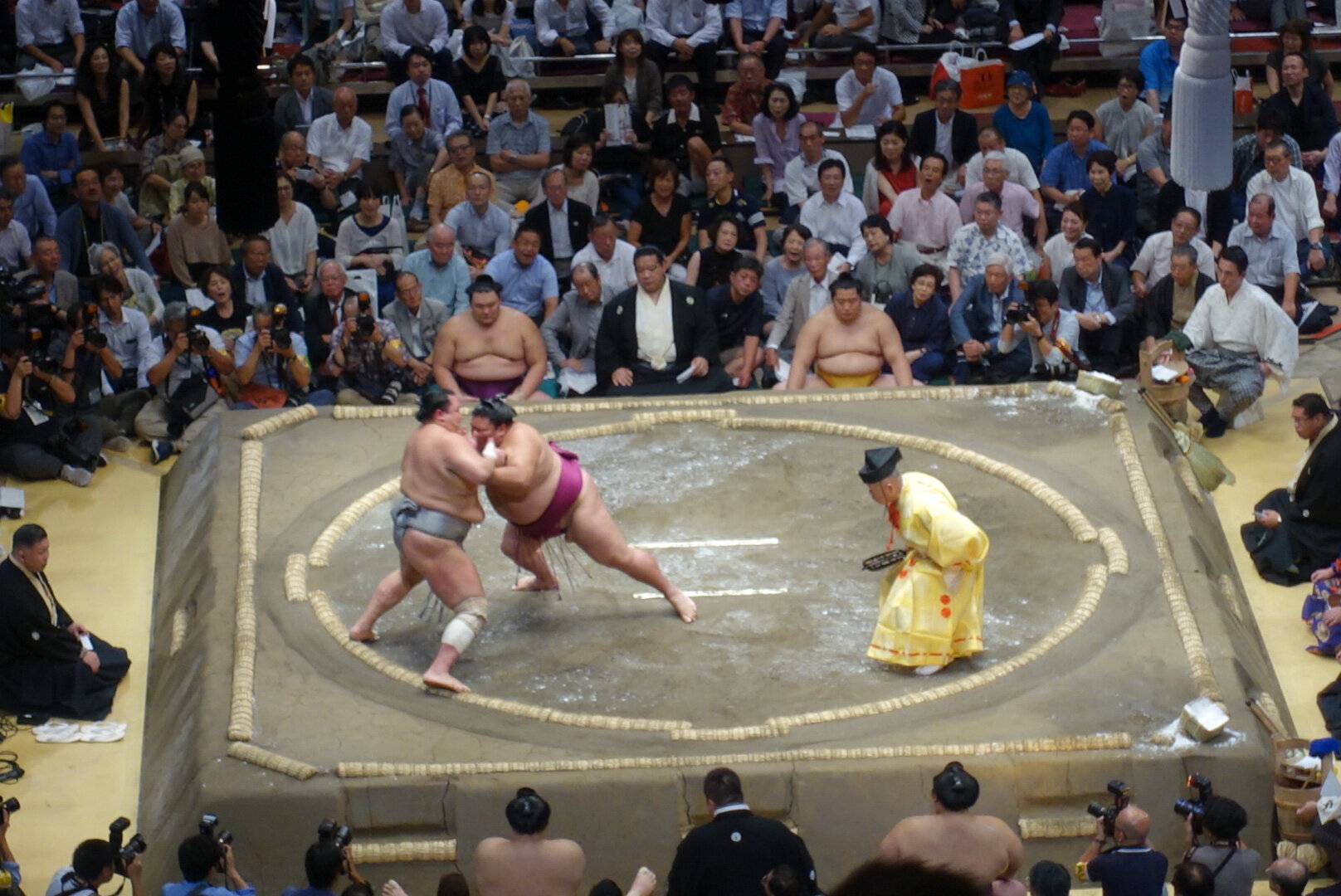 what to do in tokyo sumo tournament 