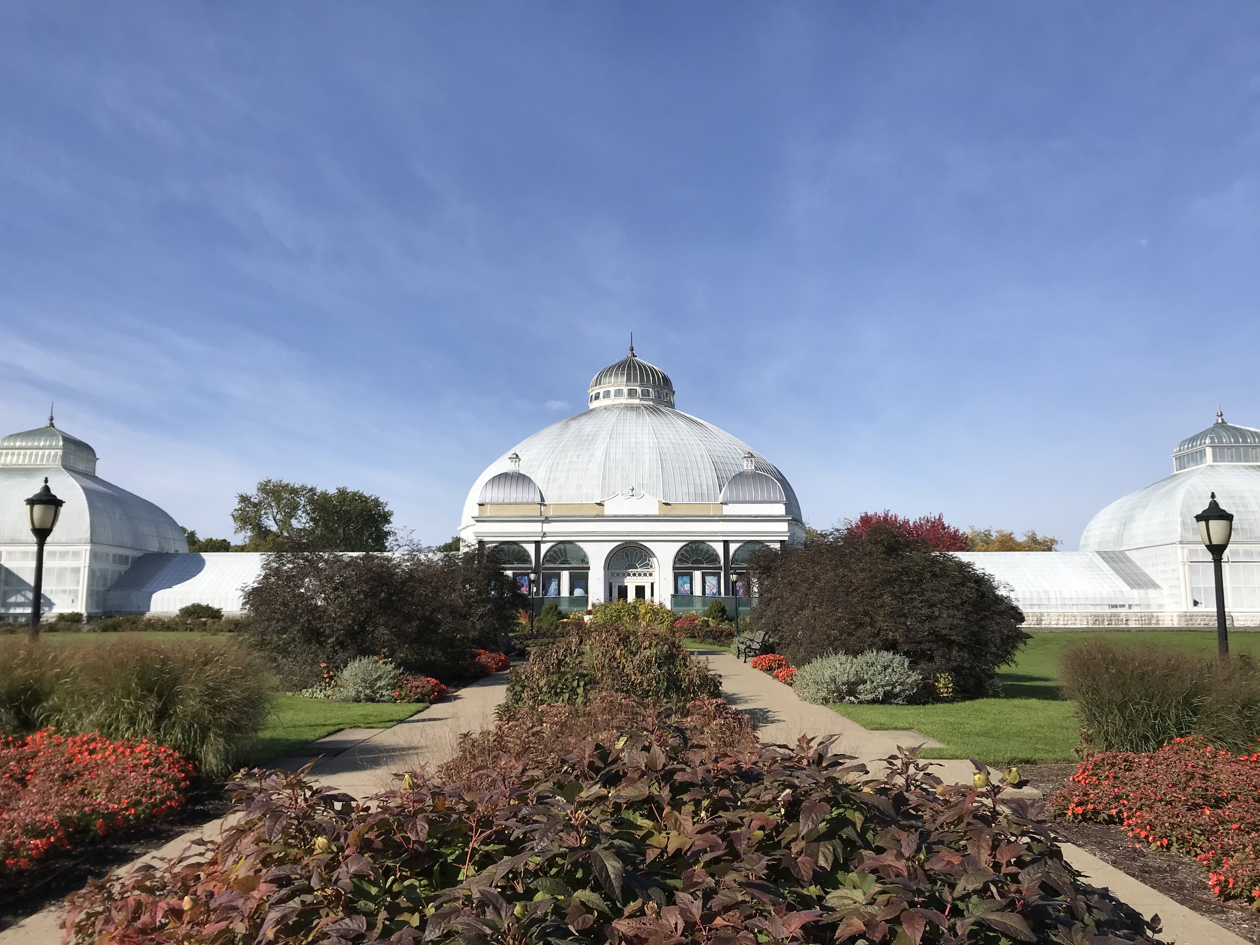  buffalo botanical garden 