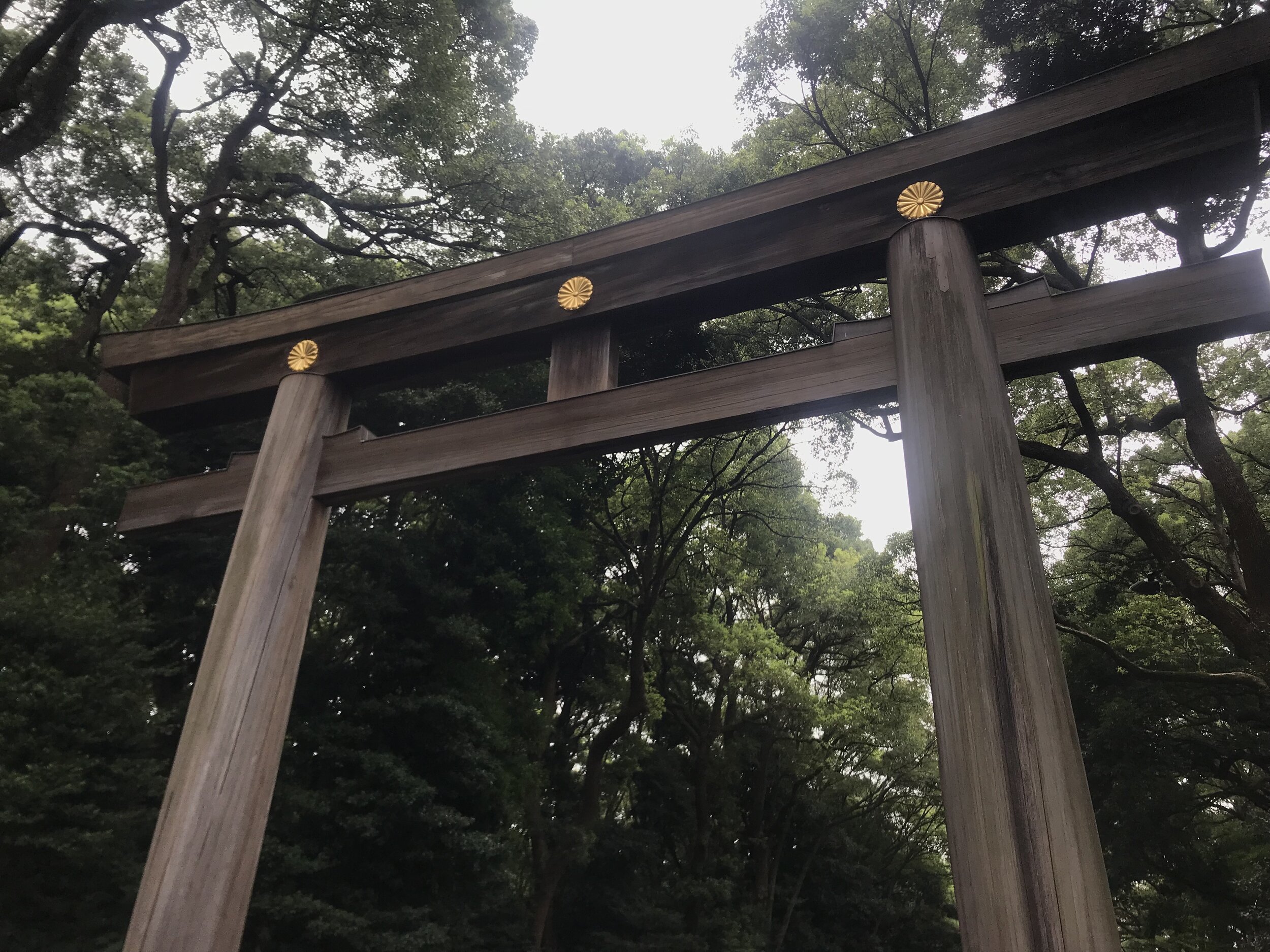  what to do in harajuku - meiji shrine 