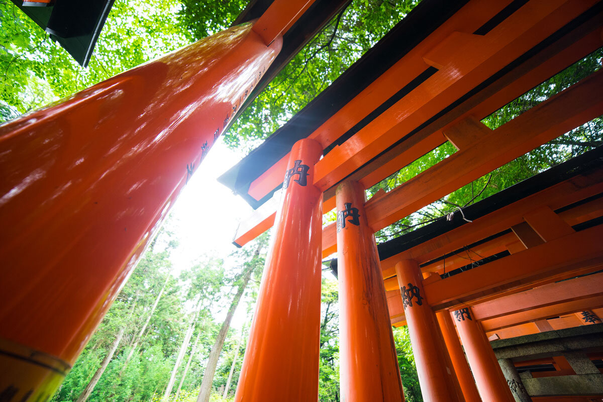  Things to do in Nara - Kyoto-Fushimi-Inari 