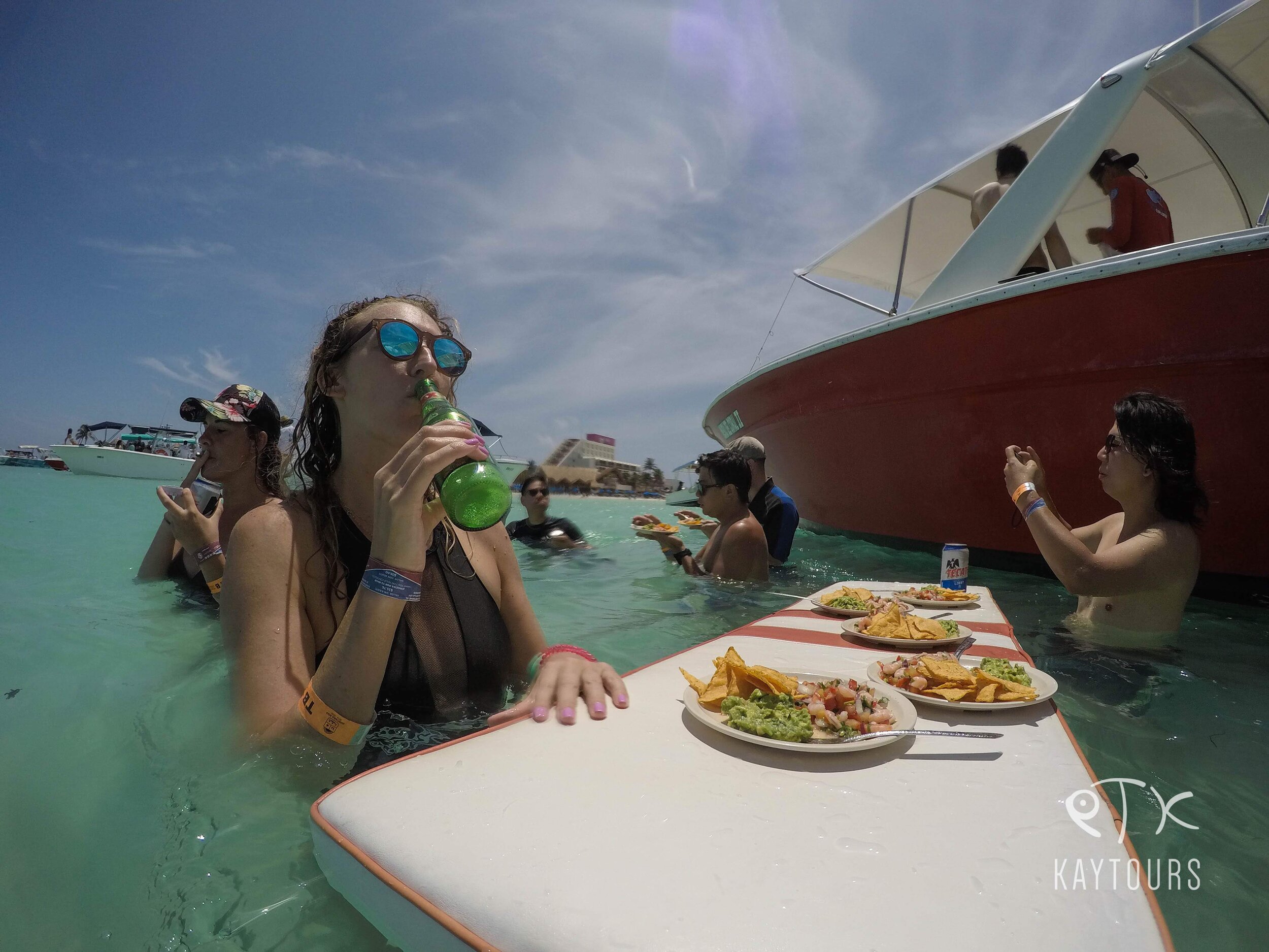  whale shark tours 