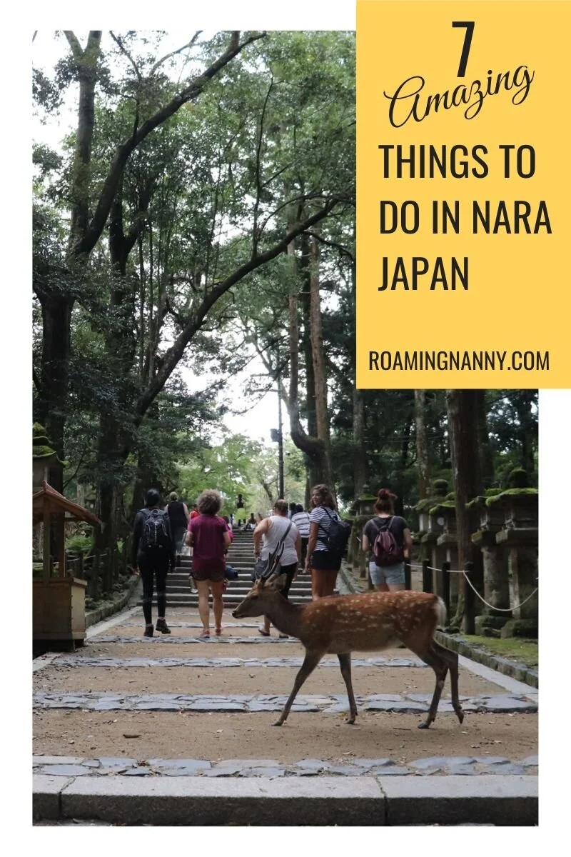  Nara was the capitol of Japan for over 70 years in the 6th century and to this day still retains the feel of ancient Japan. While today it is mostly known around the world for the famous Nara Deer there are other amazing things to do in this small Japanese city. Keep scrolling to find out what to do in Nara Japan. #nara #narajapan #japan #visitjapan #naradeer 