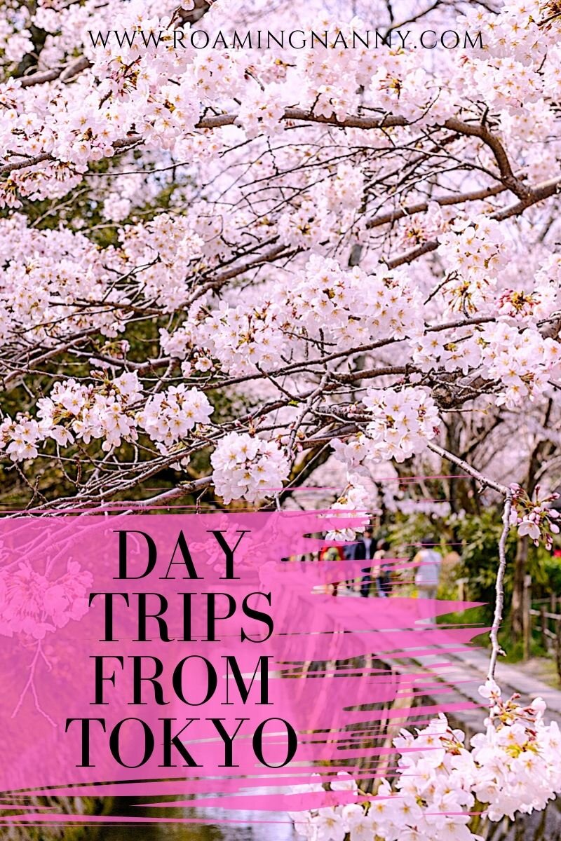  With some of the best public transportation in the world, Tokyo is the perfect place for a home base while traveling in Japan. Here are some of the top day trips from Tokyo. #tokyo #daytrips #viistjapan #explorejapan #topdaytrips #tokyodaytrips 