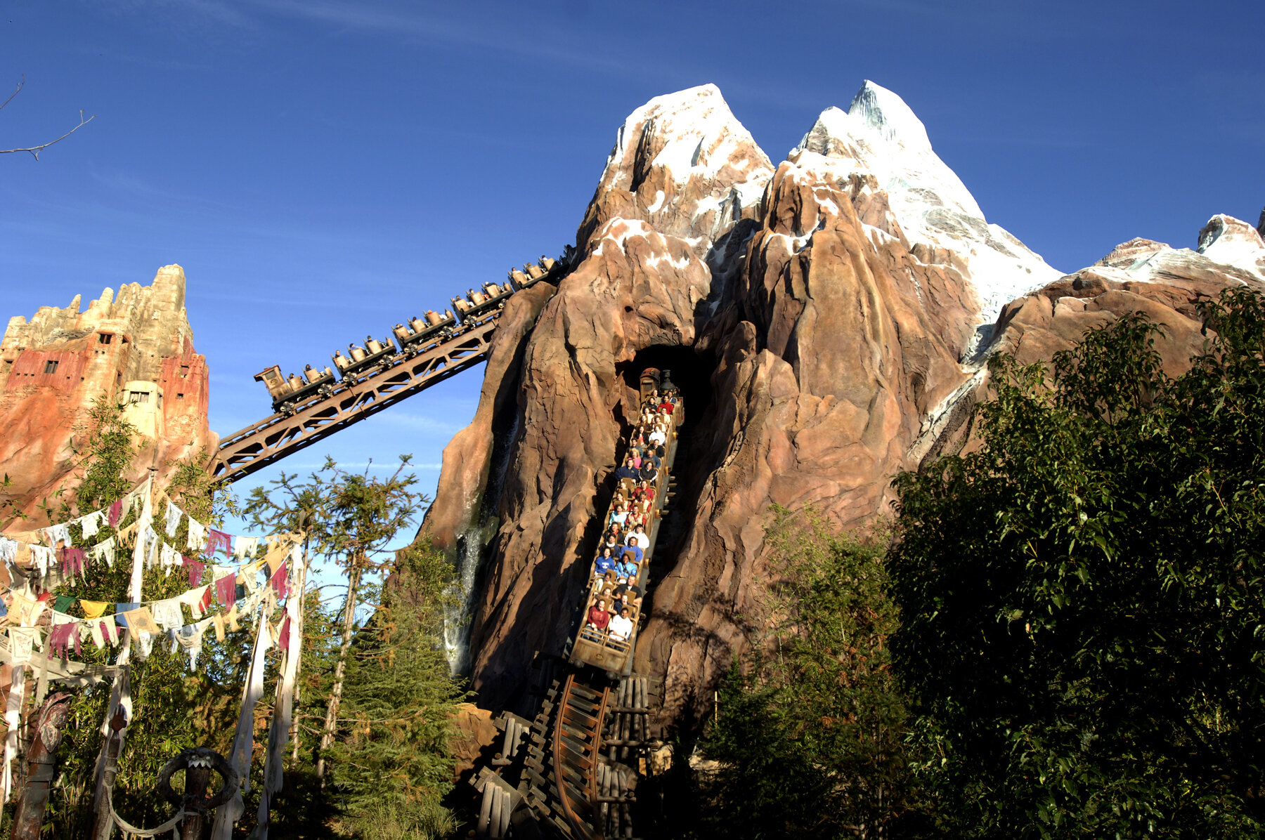 Animal Kingdom