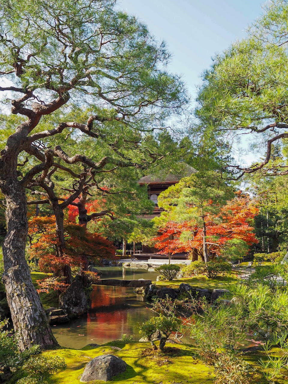  solo female travel in japan 