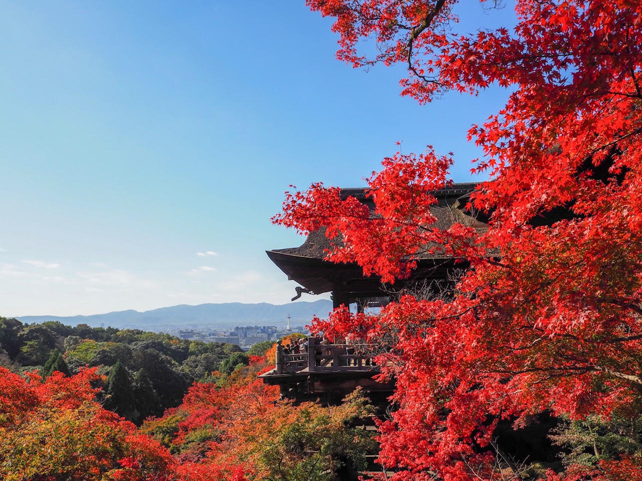  kyoto japan 