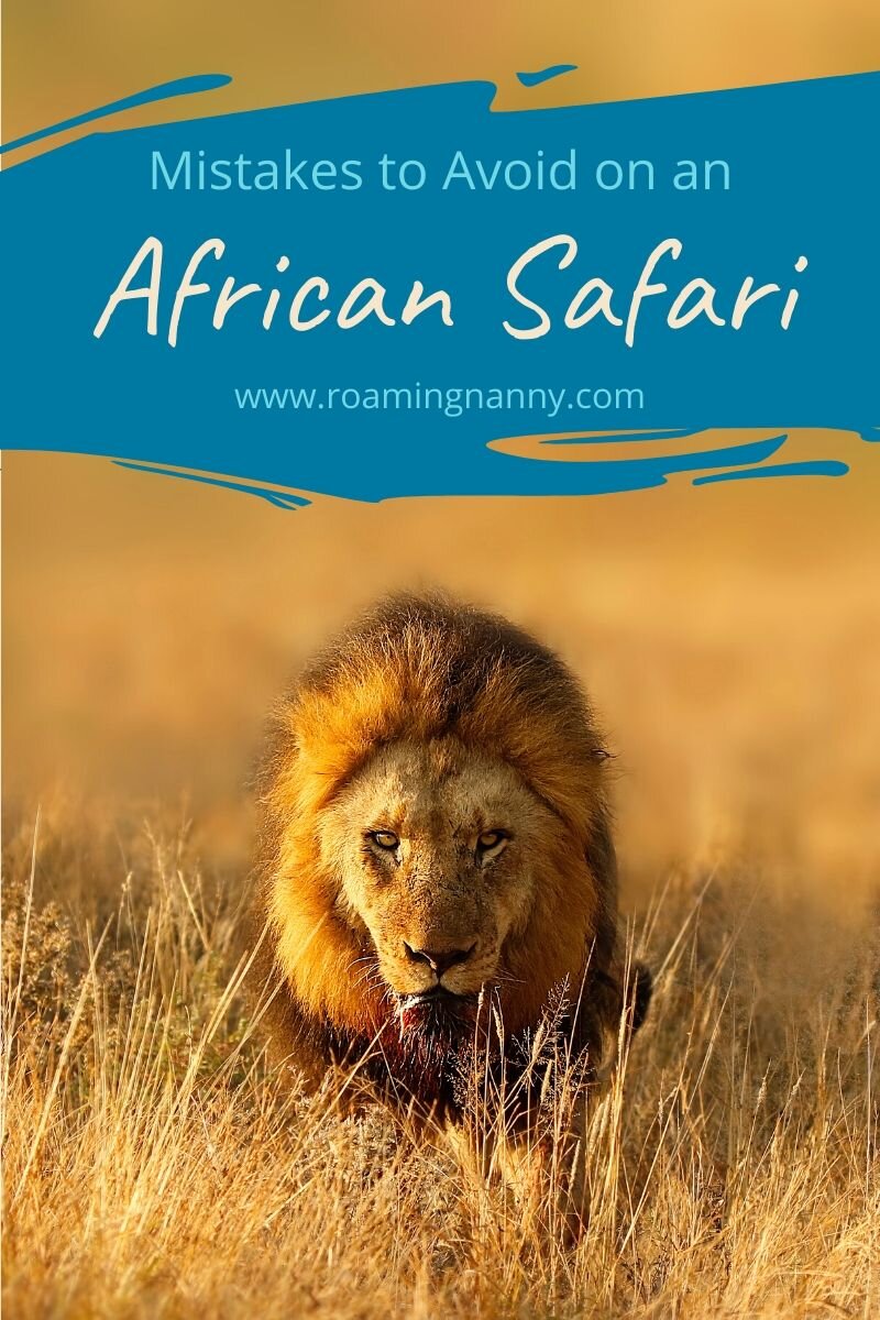 Are Safaris Safe? Safety Tips and Common Mistakes to avoid on an