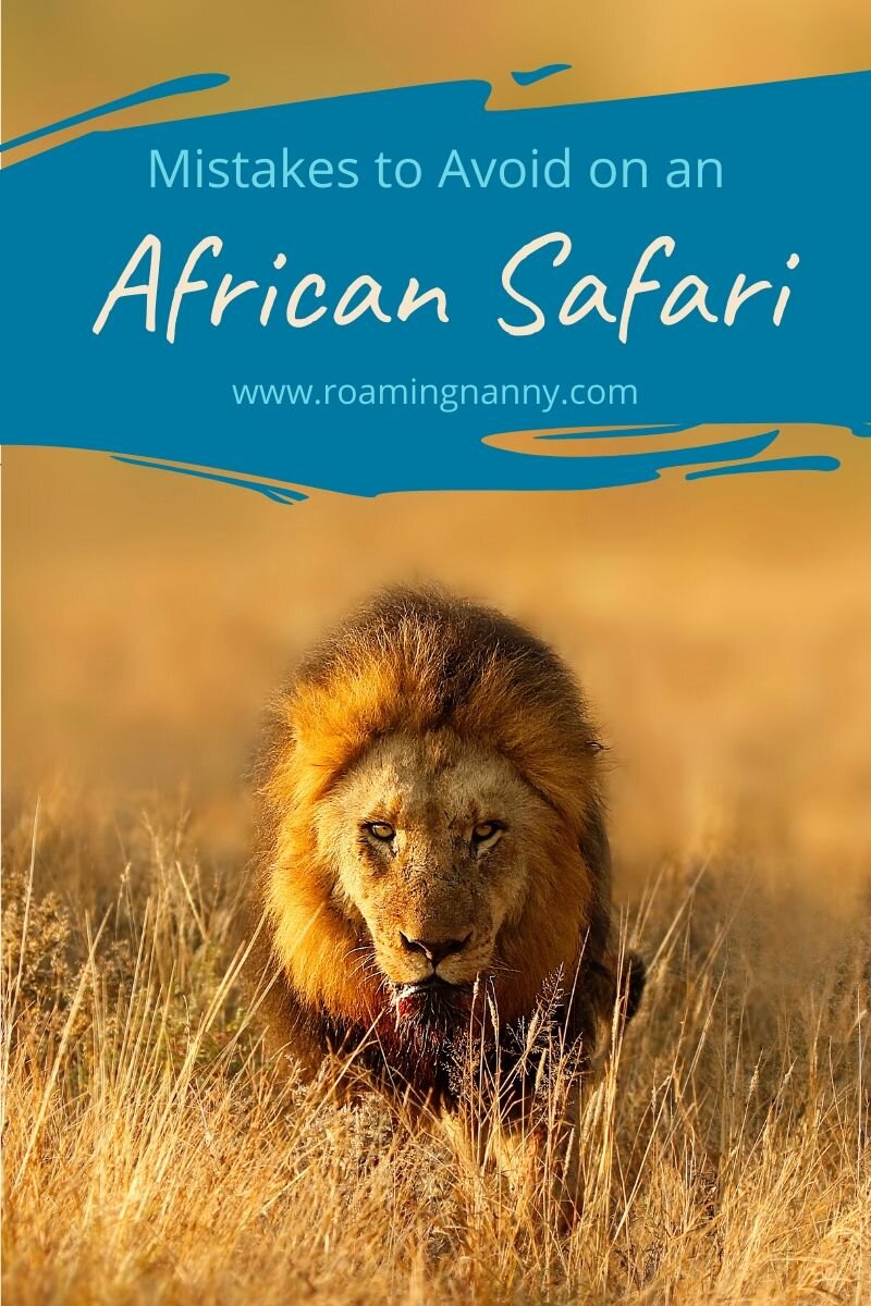  Avoiding these simple mistakes on your African safari will ensure you have the trip of a lifetime. #africansafari #africananimals #adventuretravel #safari 