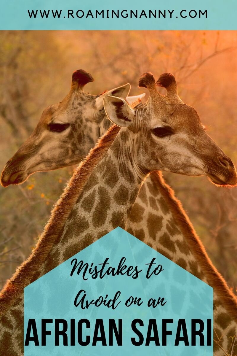  Avoiding these simple mistakes on your African safari will ensure you have the trip of a lifetime. #africansafari #africananimals #adventuretravel #safari 