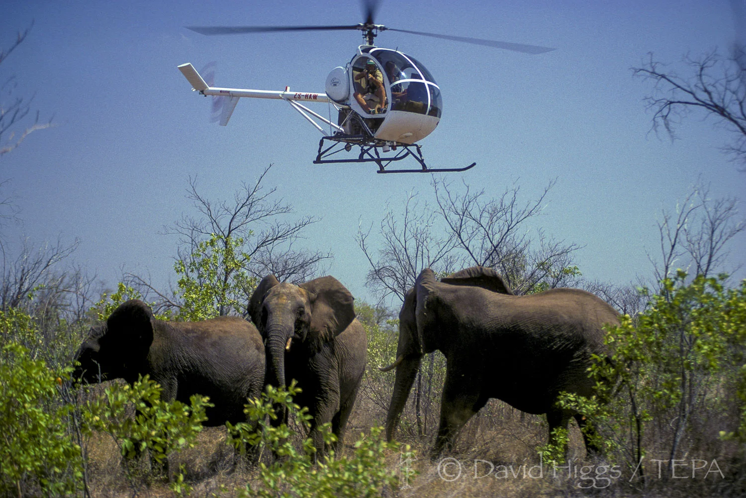 02 796.14 ELEVAC NIK02.jpg