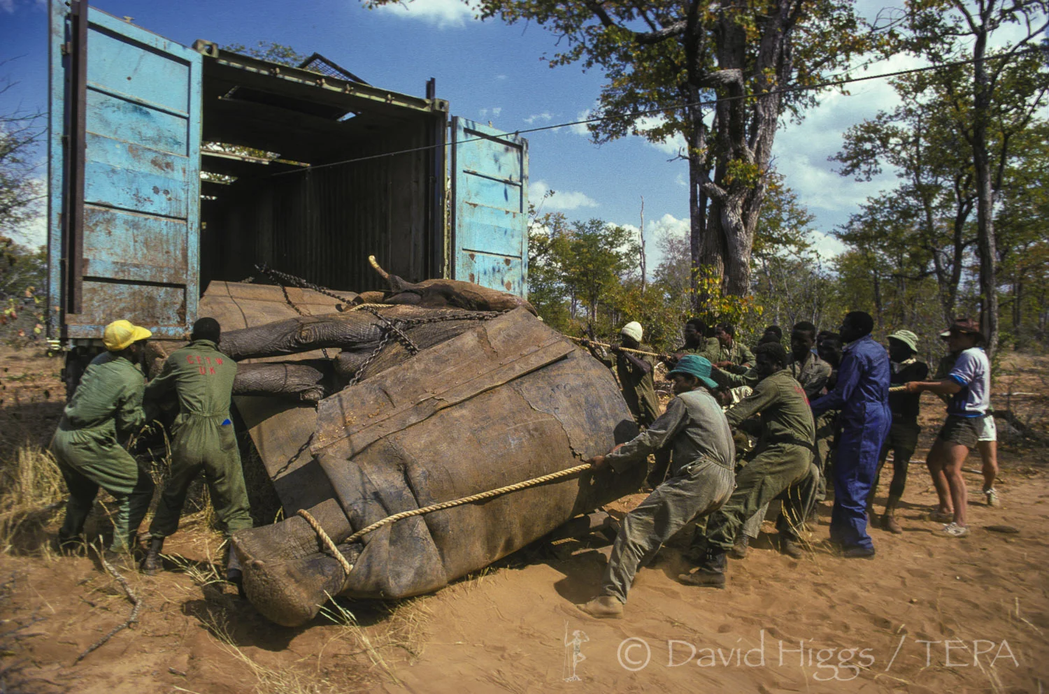 05 801.28 ELEVAC NIK01.jpg