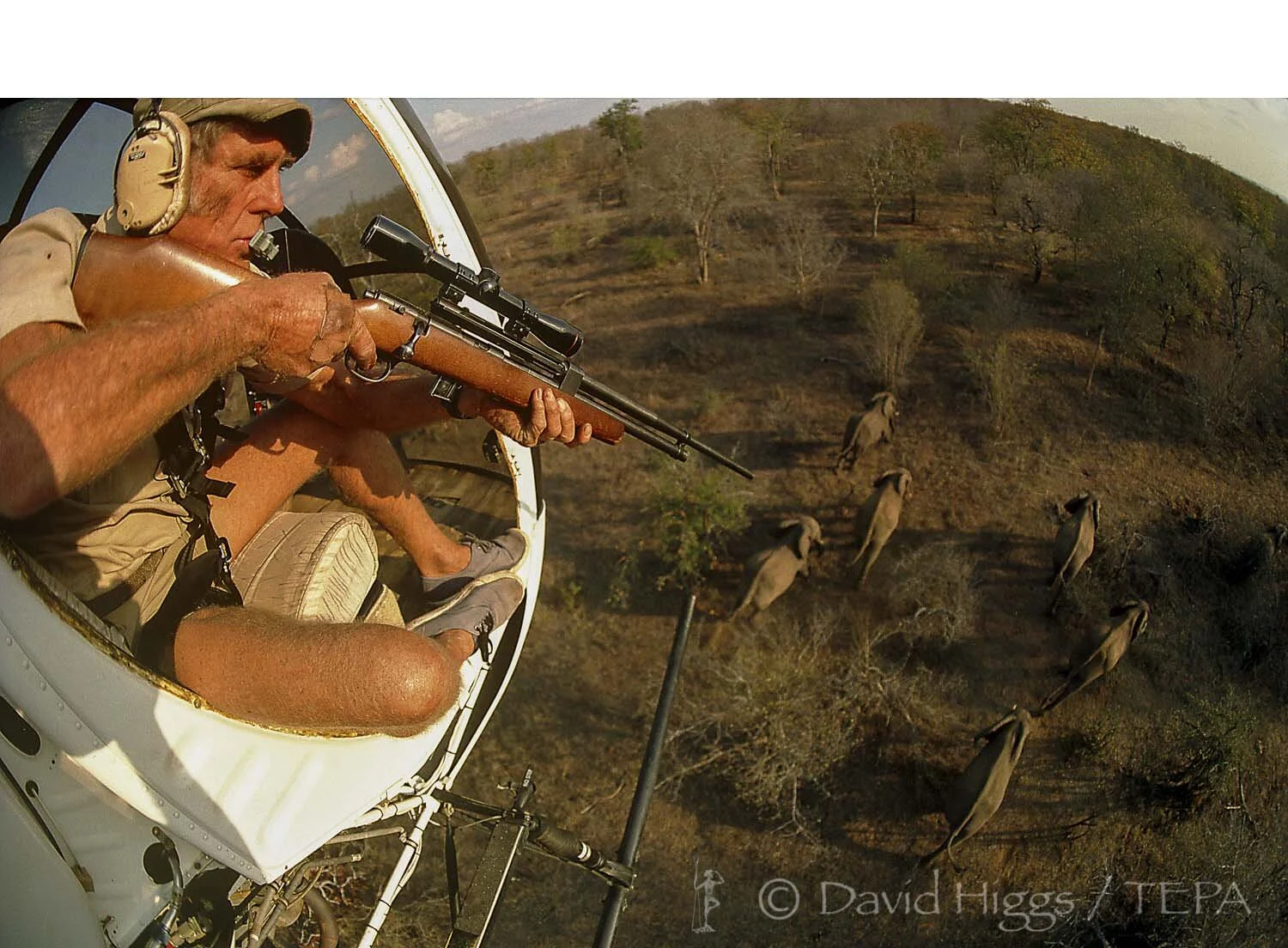 01.1 796.01 ELEPHANT RELOCATION GEN02.jpg