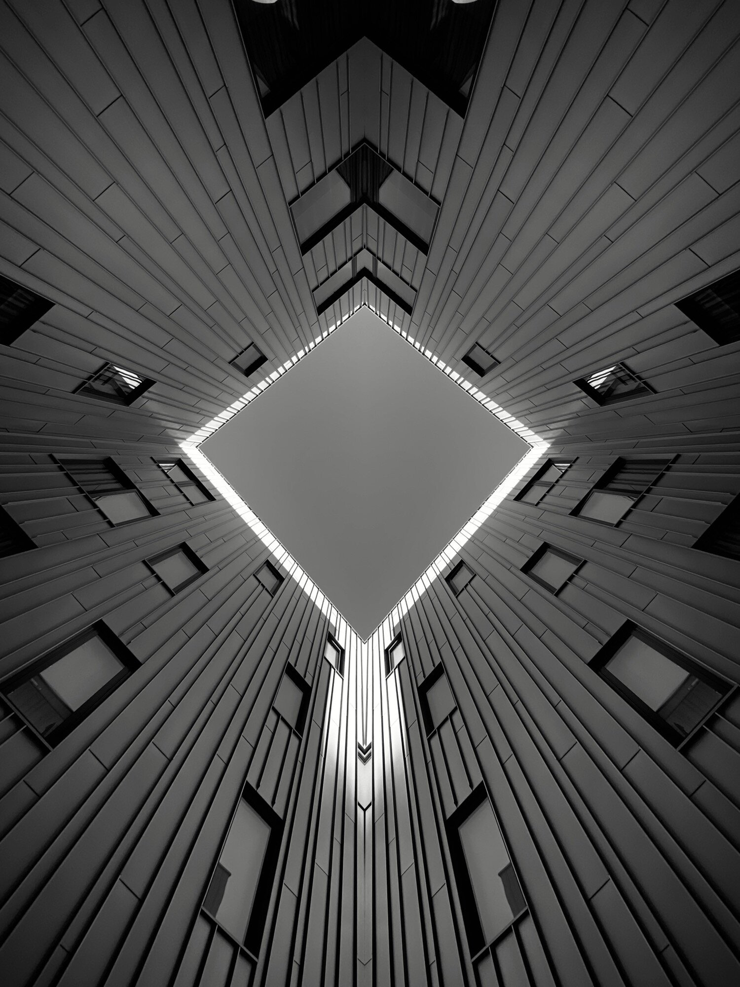 temp_614517232.493274.JPG