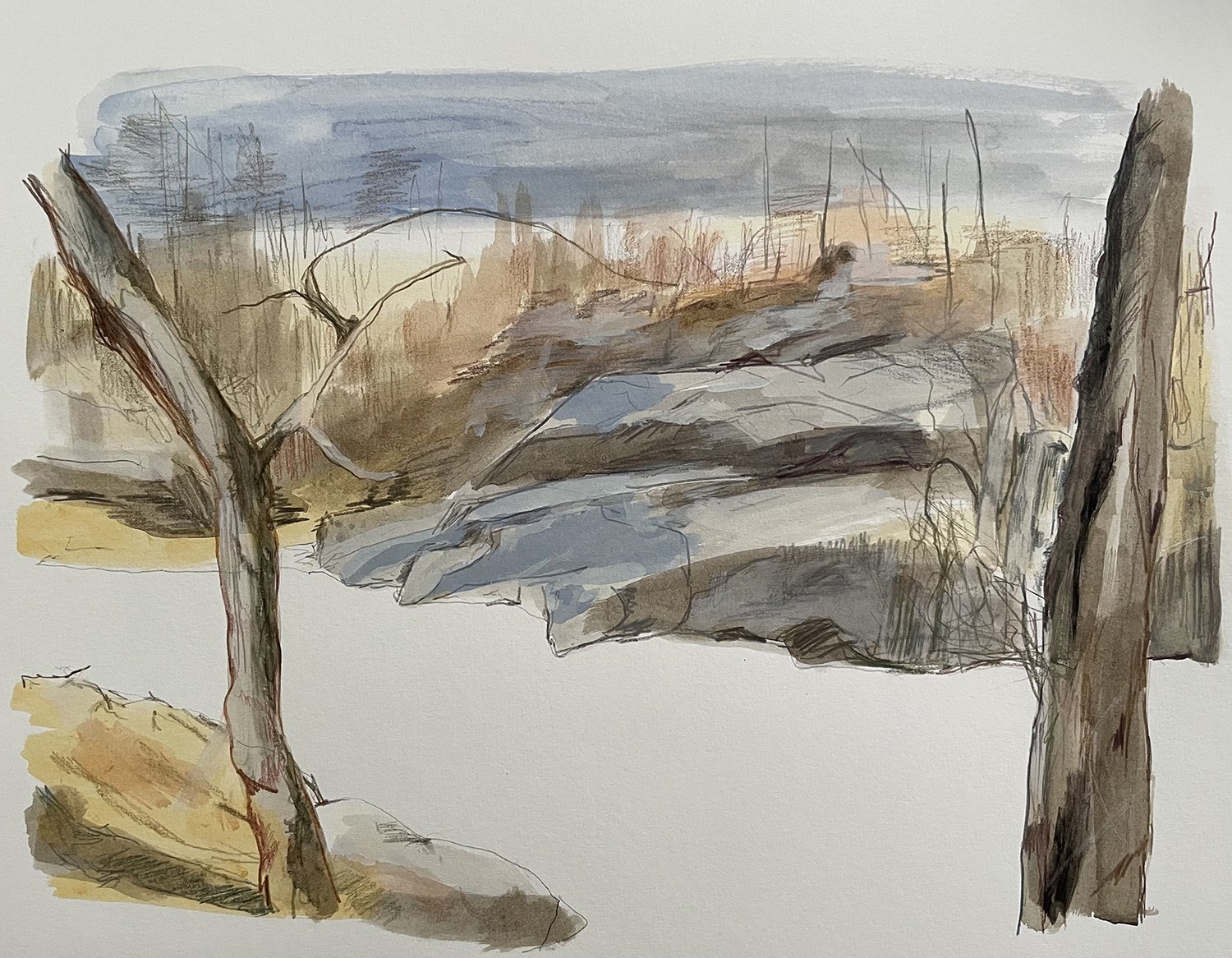 Schuylkill8.jpg