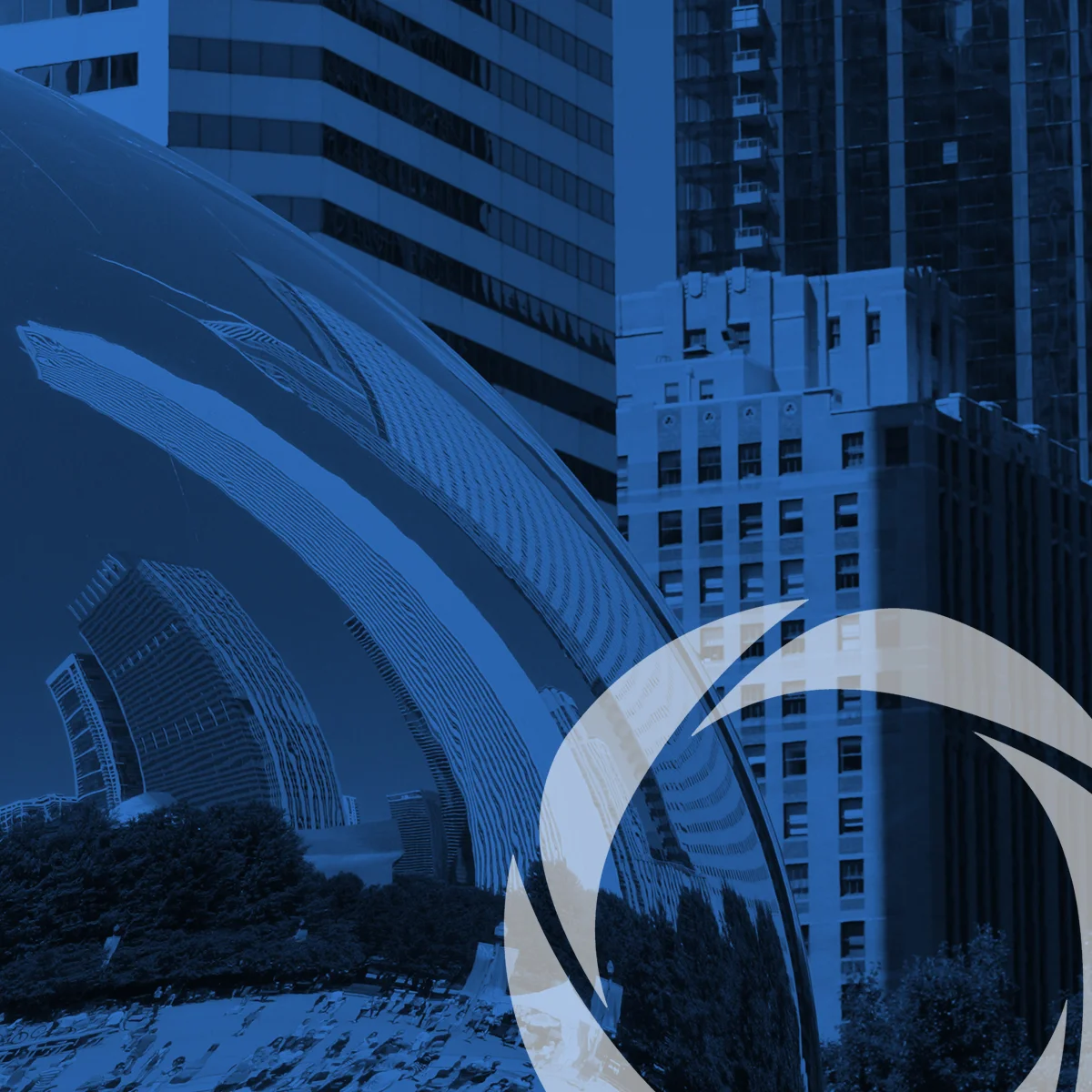 Holistic DEI Executive Mentoring with Acasia Wilson Feinberg