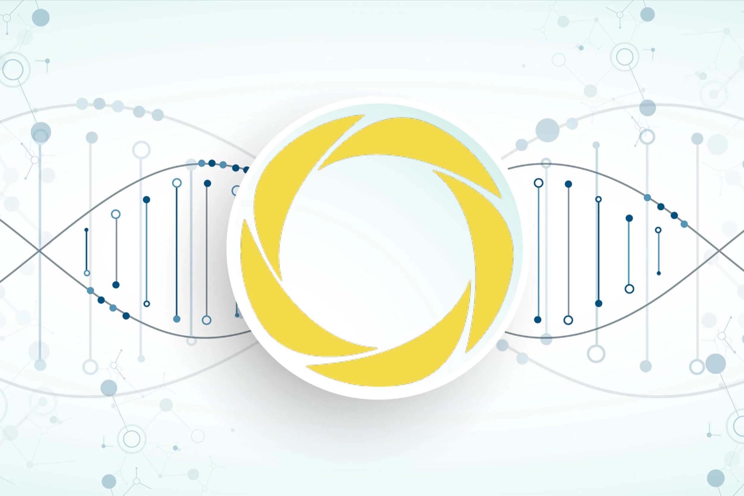 Company DNA