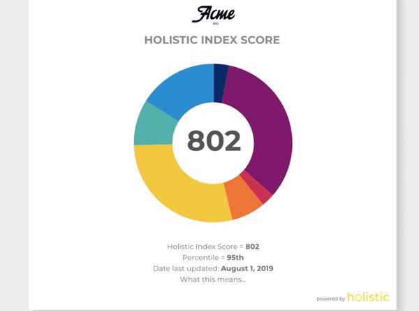 Holistic Public Facing Report — Holistic