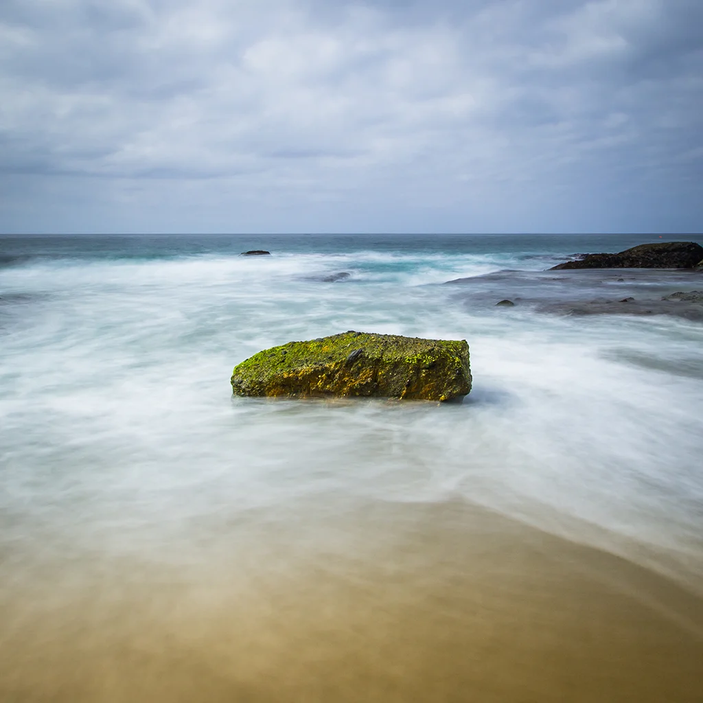 _MG_4353.jpg