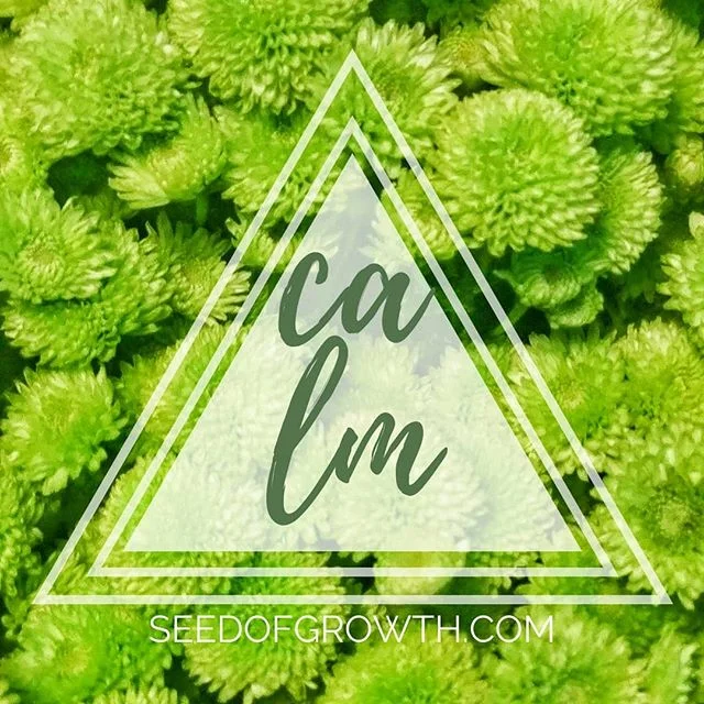 | REMAIN CALM |

Don't let this experience or situation get the best of you.

Observe your behaviour and feelings slowly right now. Take note if you are being emotionally charged and reactive. Step back and gather your composure, once you feel settle