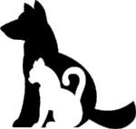 In the United States, more than 7.6 million cats and dogs enter shelters each year. 41% of those cats and 31% of those dogs are euthanized. Source: ASPCA