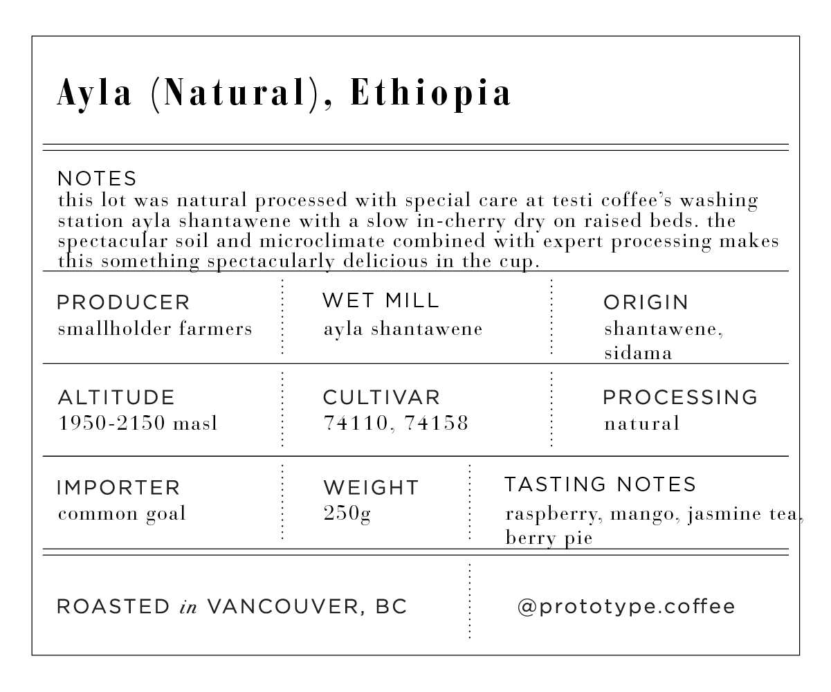 EA Ethiopia Ayla Natural 2026 [Recovered]-01.png