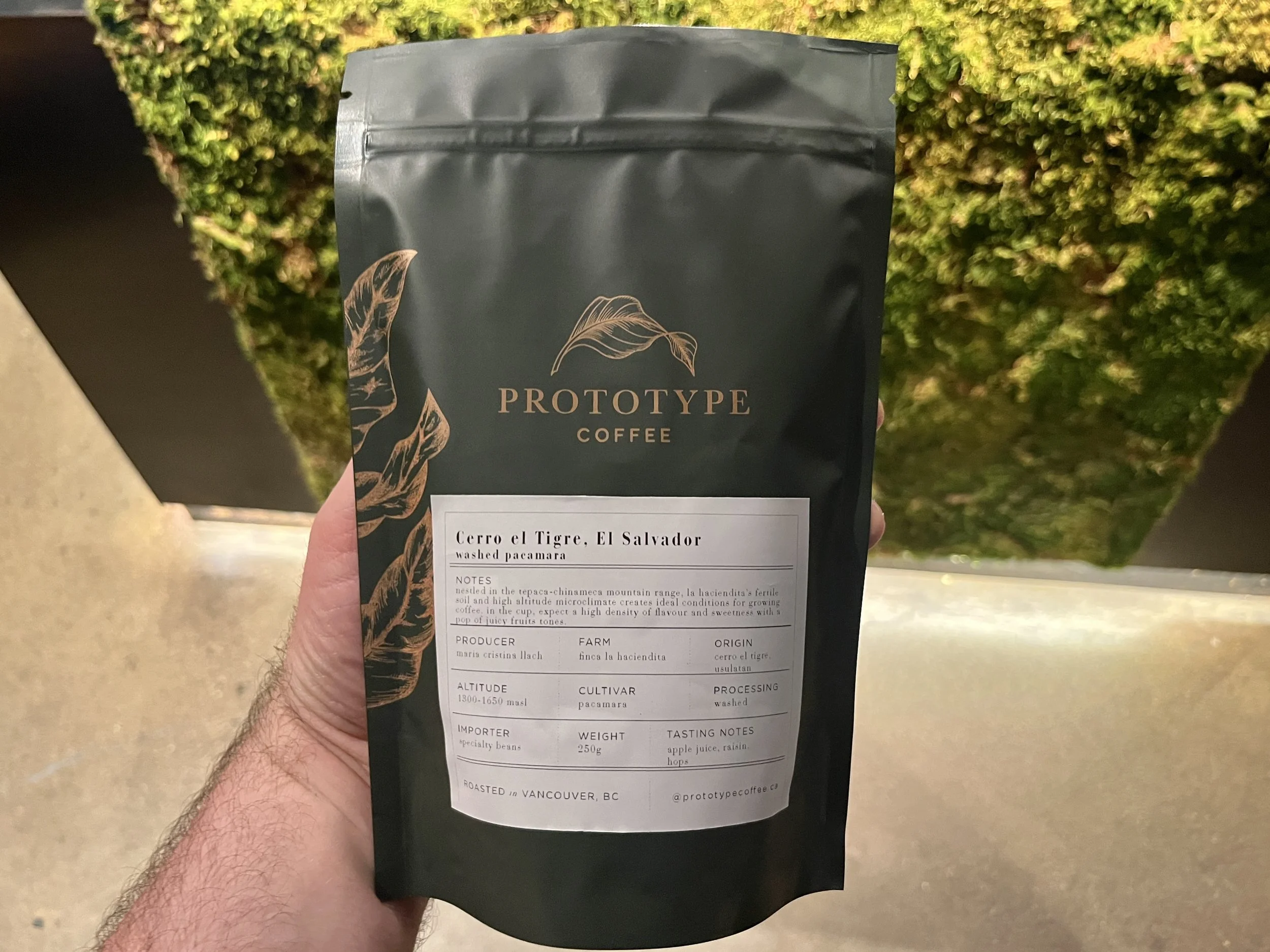 Cerro el Tigre (Washed Pacamara), El Salvador