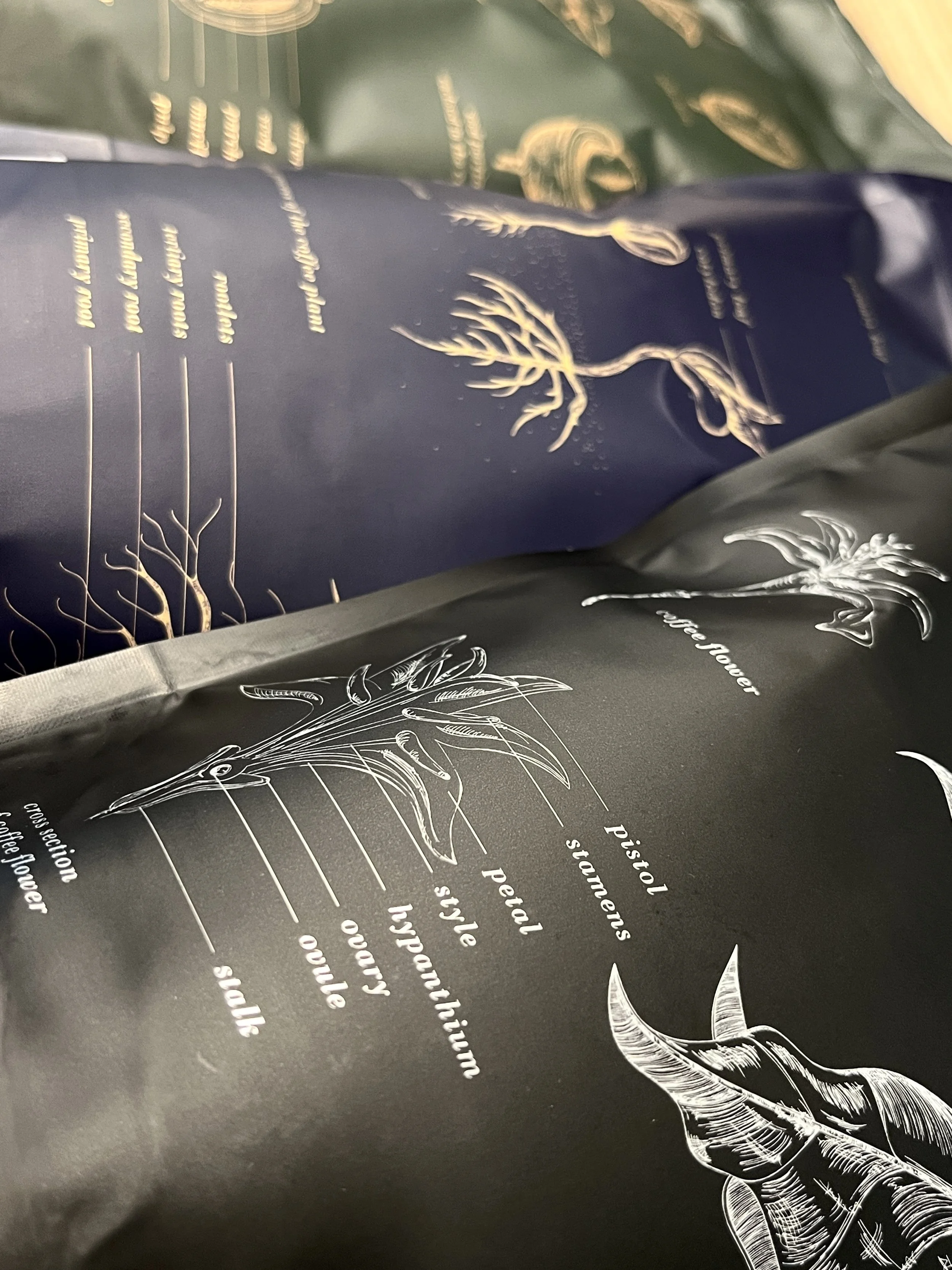 Mix Pack: 6 Month Coffee Subscription