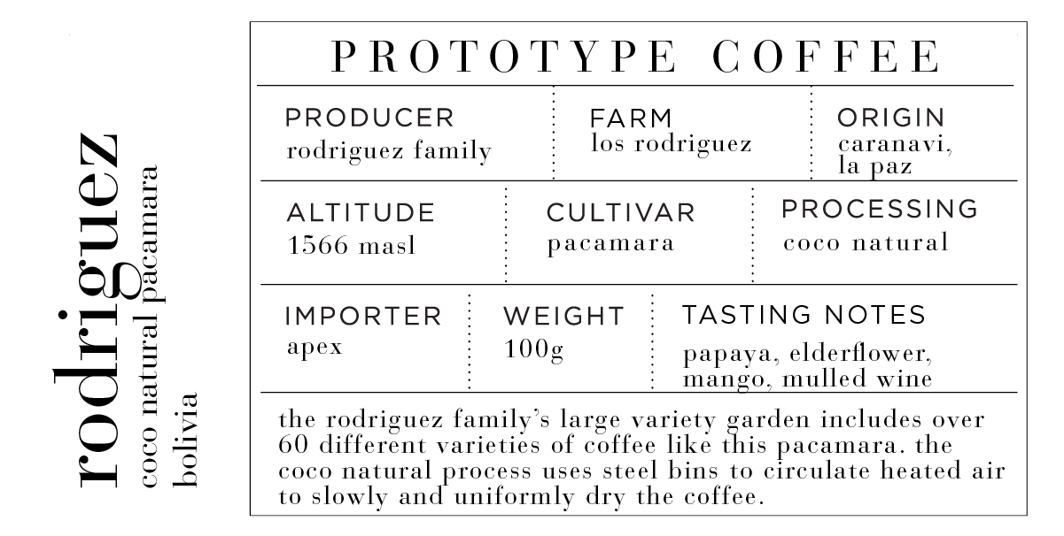 BP Bolivia Natural Pacamara (done needs tasting notes)-01.png