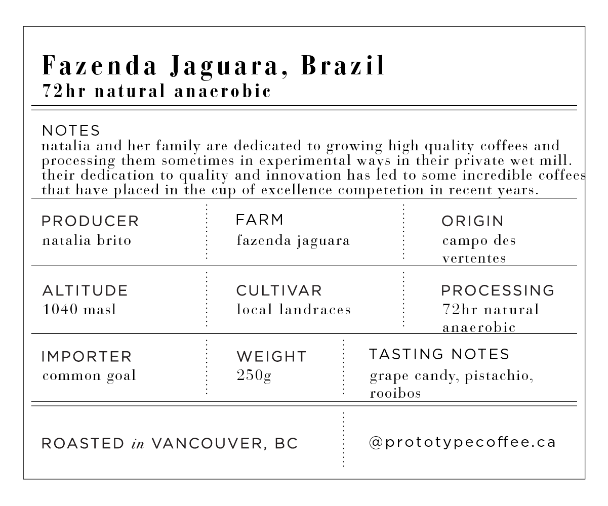 BJ Brazil Jaguar Anaerobic-01.png