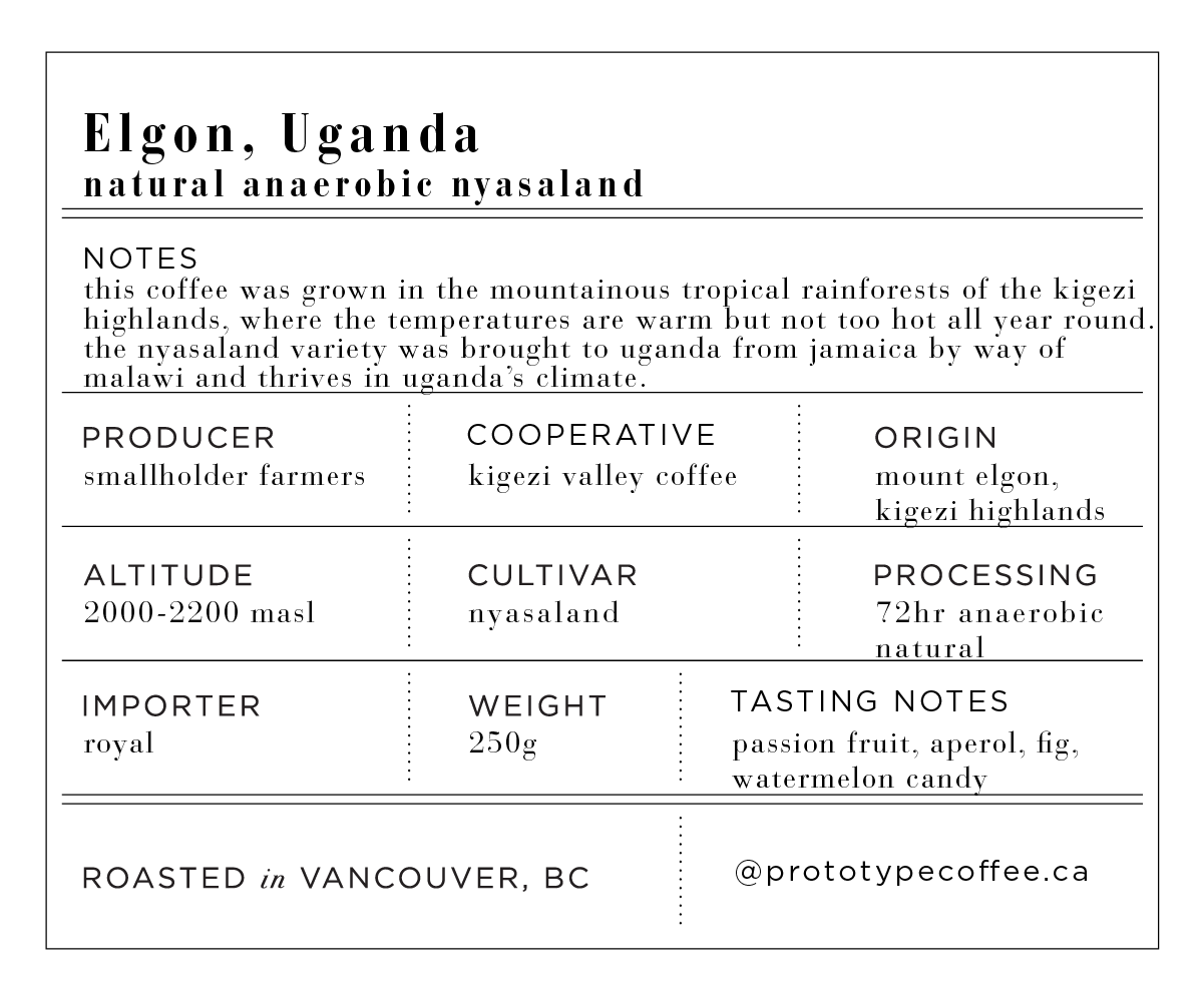 UA Uganda Elgon Anaerobic-01.png